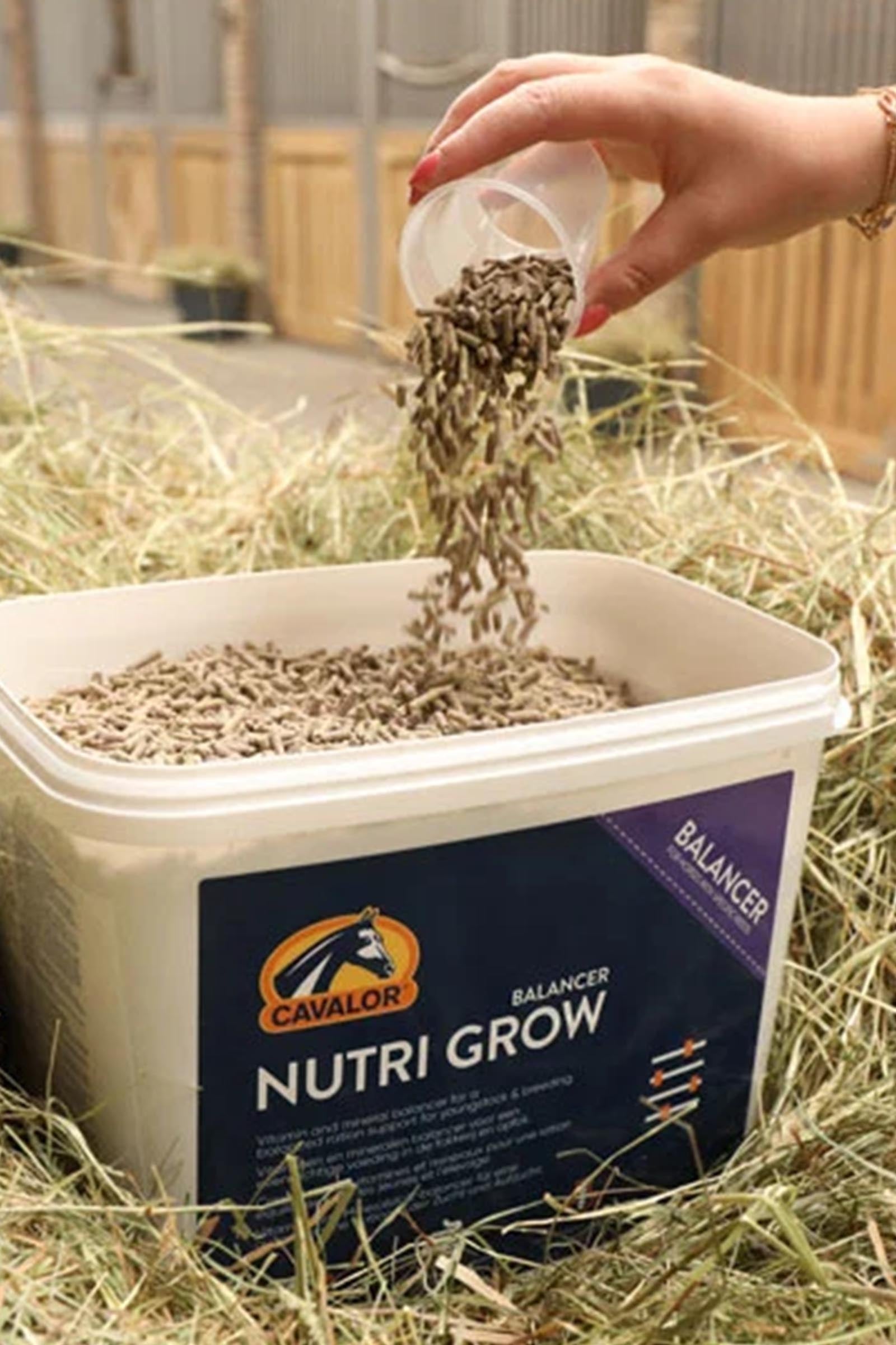 Cavalor Nutri Grow, Vitamines and Minerals, 5 kg Horse Feed & Nutrition