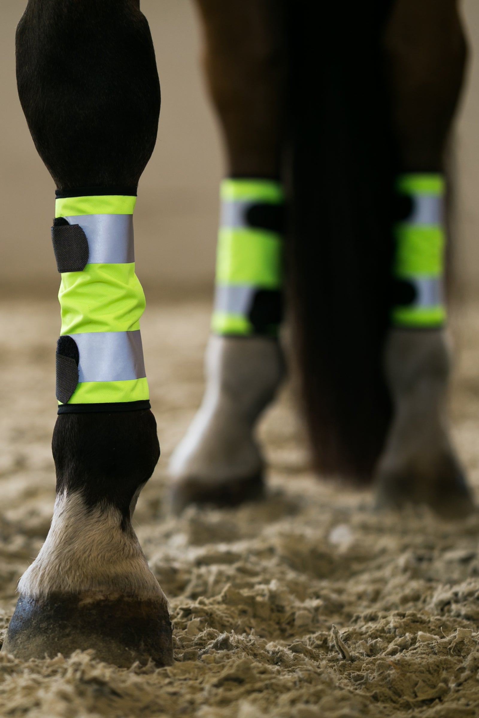 Horze Reflective Leg Wraps Reflective