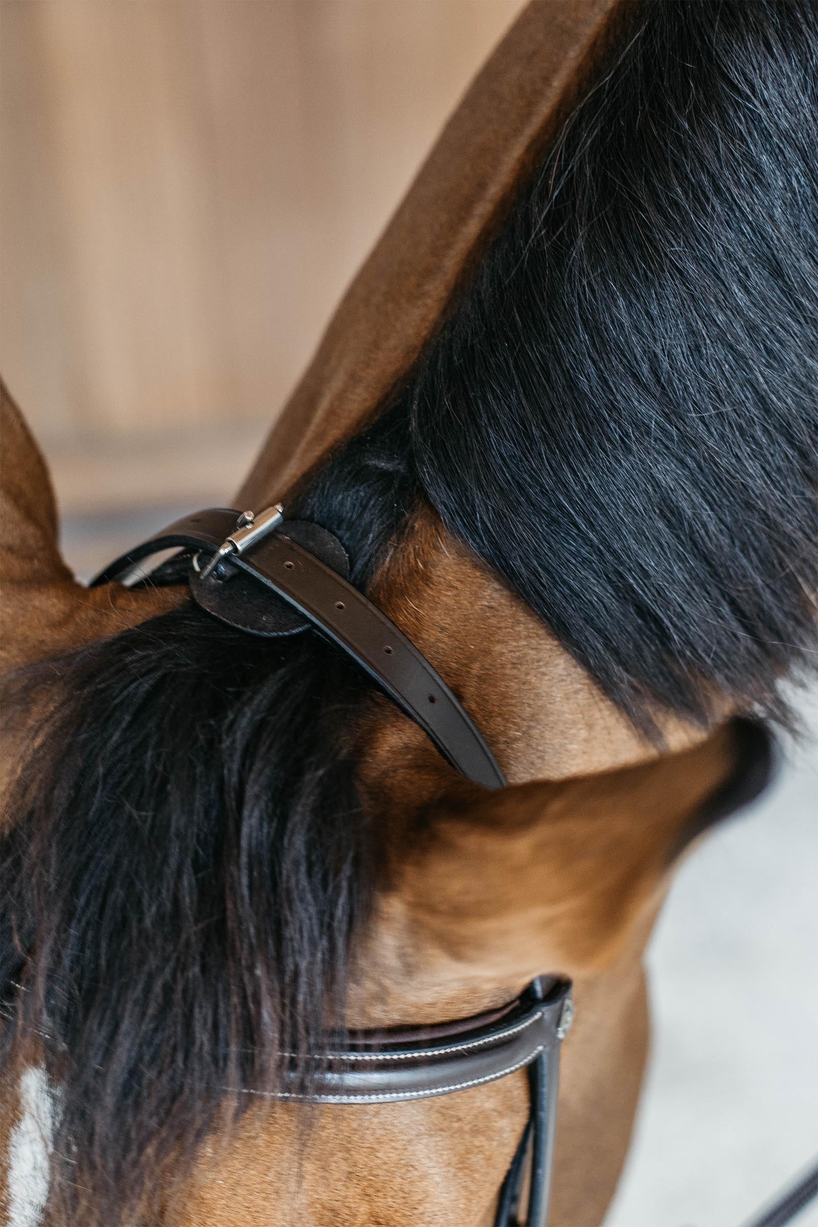 Dy'on Working Training Bridle Bridles & Reins