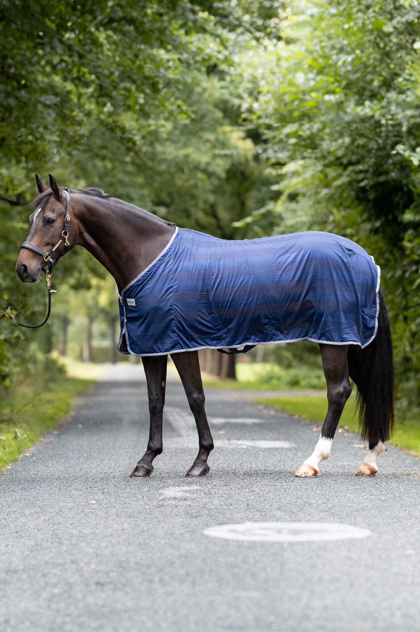Kavalkade Stripe Fly Rug Horse Rugs
