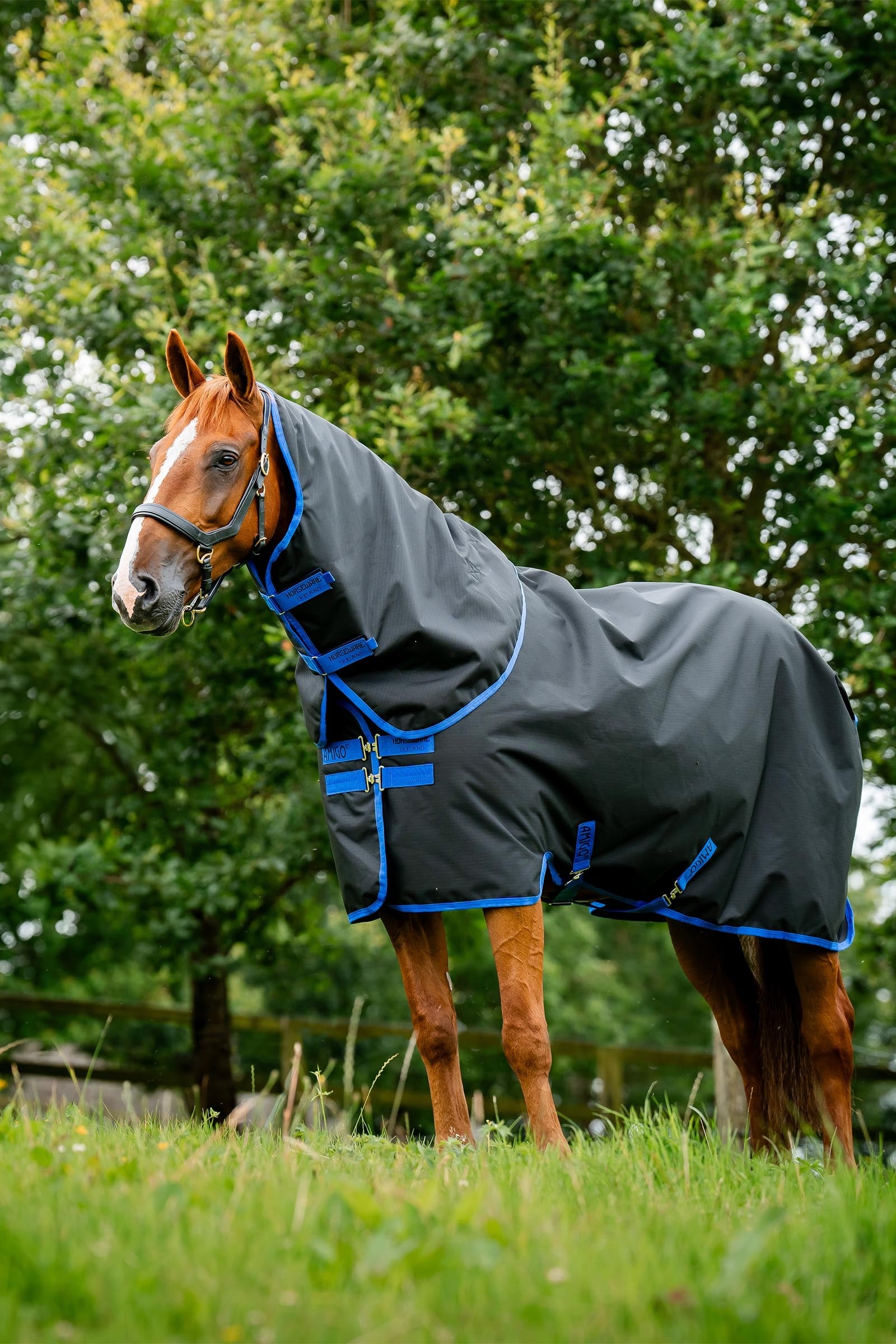 Horseware Amigo Ripstop 900D Plus derka padokowa z odpinanym elementem szyi, 100 g Derki