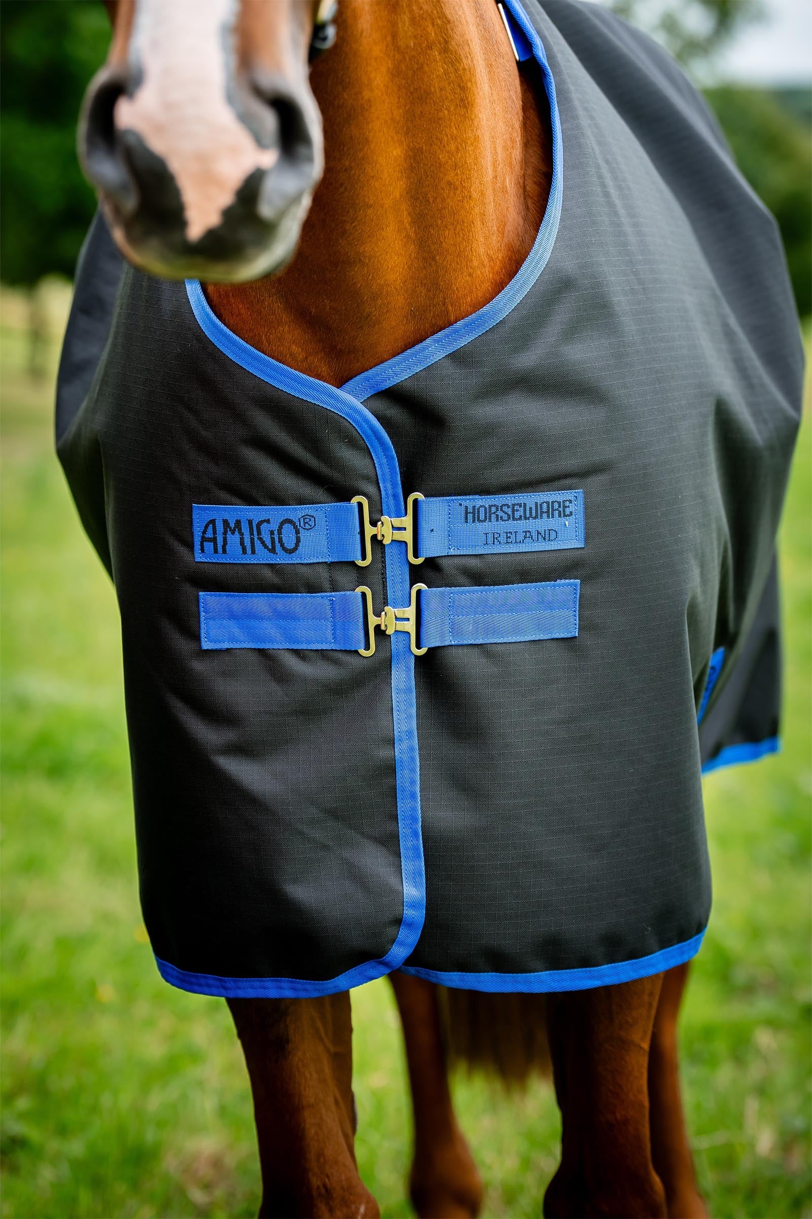 Horseware Amigo Ripstop 900D Plus Turnout Rug, 100 g Horse Rugs