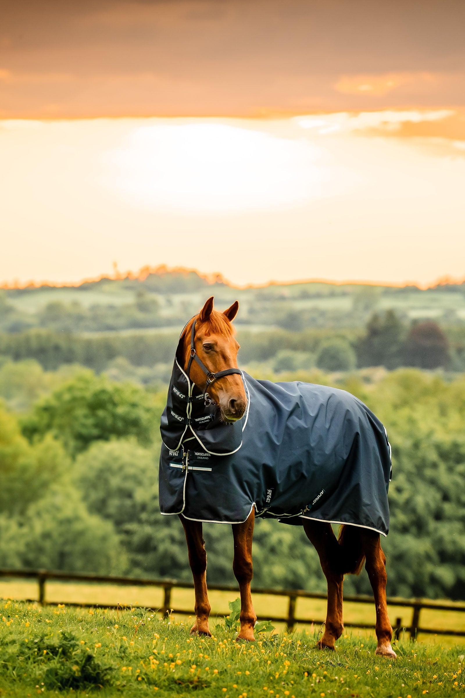 Horseware Amigo Ripstop 900D Plus derka padokowa z odpinanym elementem szyi, 100 g Derki