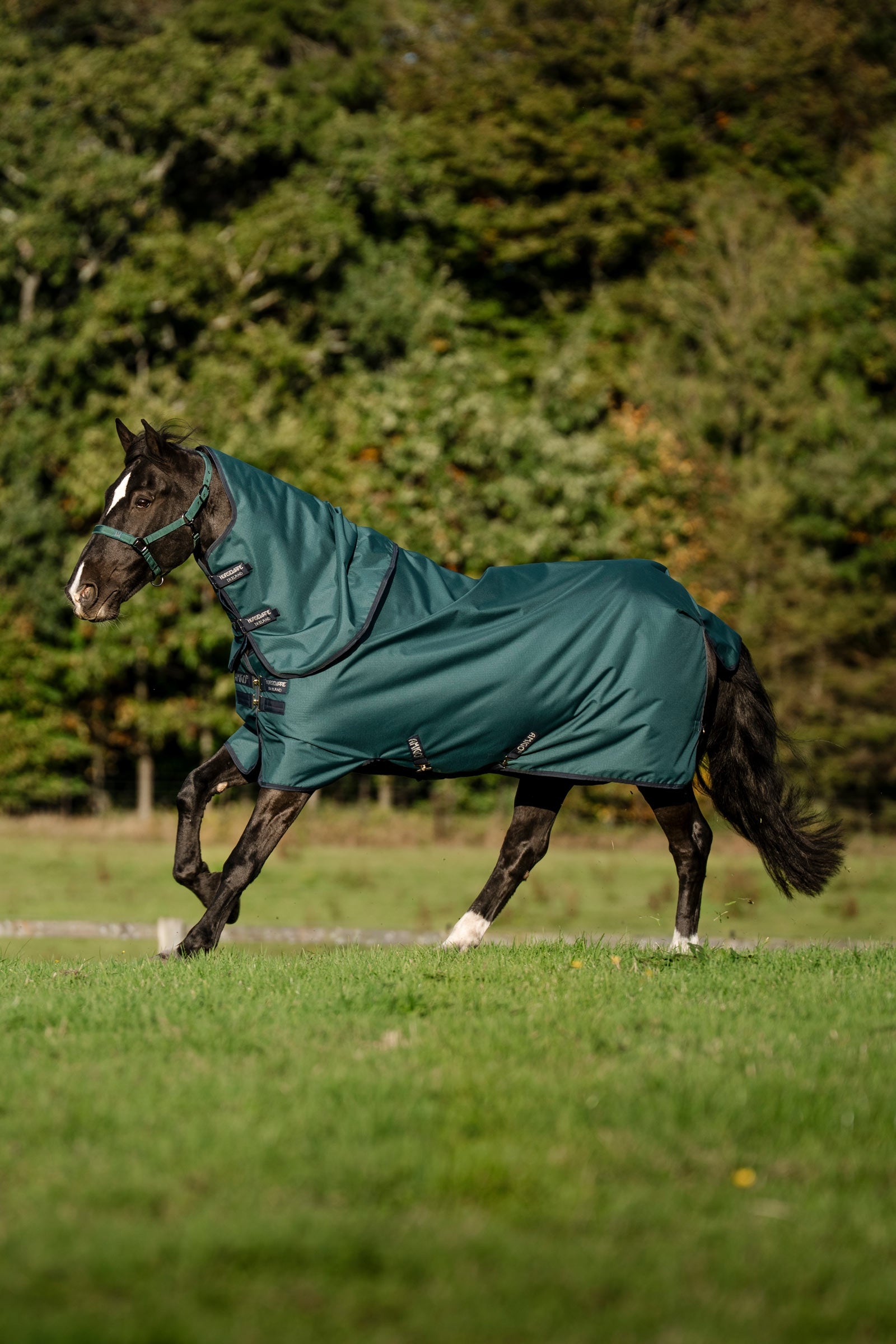 Horseware Amigo Ripstop 900D Plus Turnout Rug, 100 g Horse Rugs
