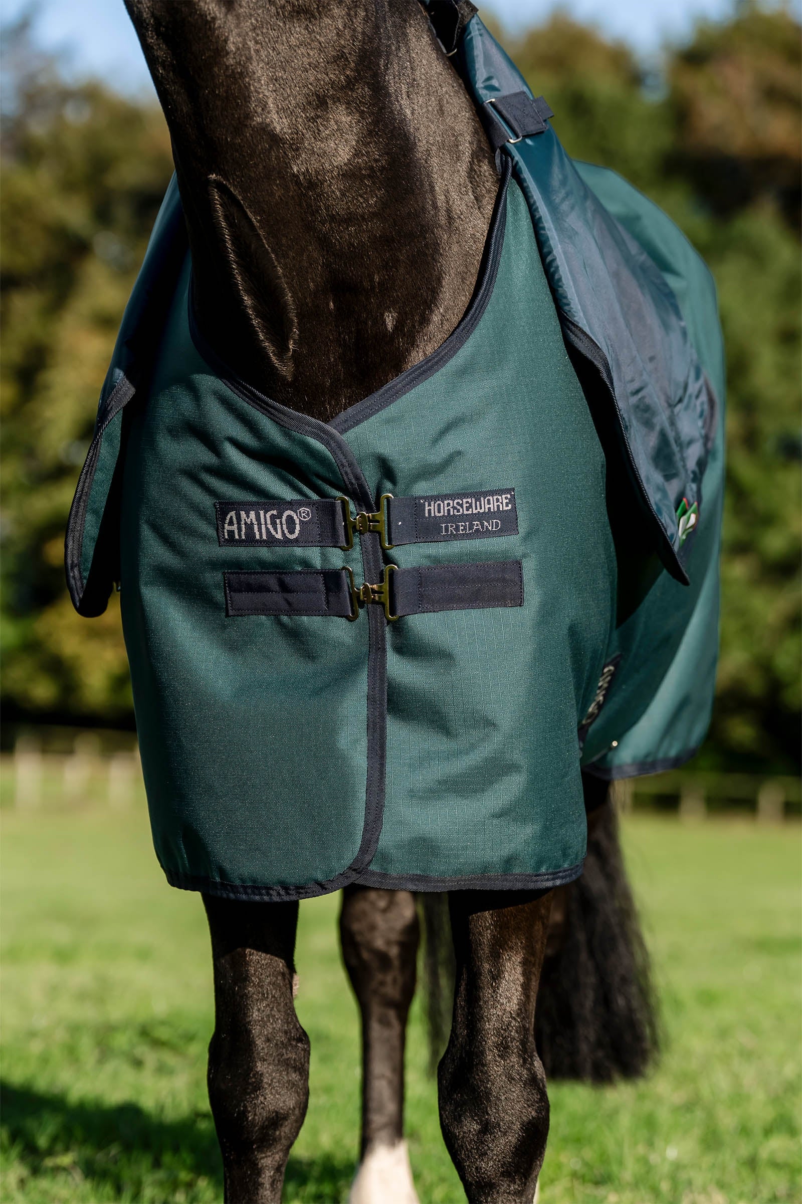 Horseware Amigo Ripstop 900D Plus Turnout Rug With Detachable Neck, 0 g Horse Rugs