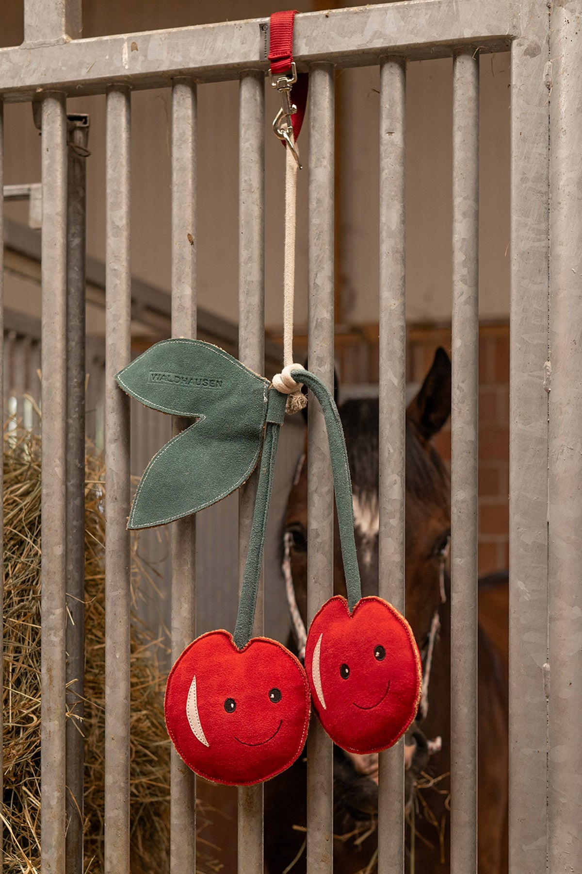 Waldhausen Functional Holder With Carabiner Stable Equipment