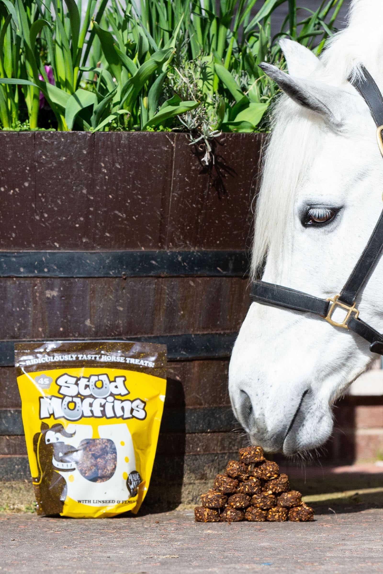 Own HZ items with no branding Waldhausen Stud Muffin 45 Pk Horse Feed & Nutrition