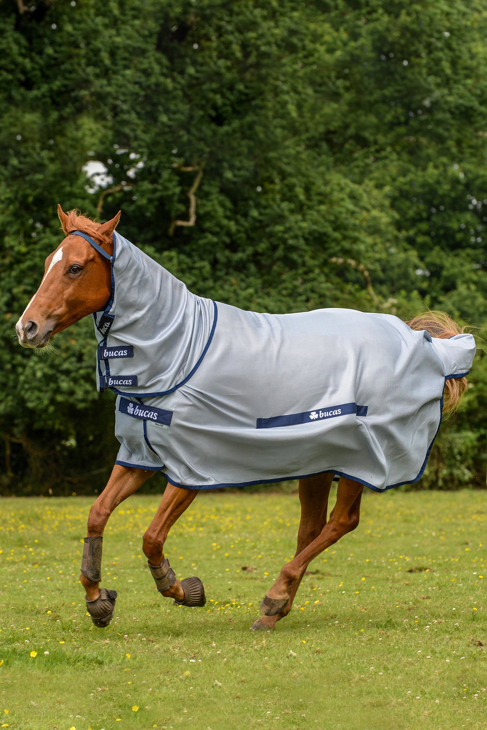 Bucas Buzz-Off Full Neck Fly Rug Pony with fixed Neck Derki