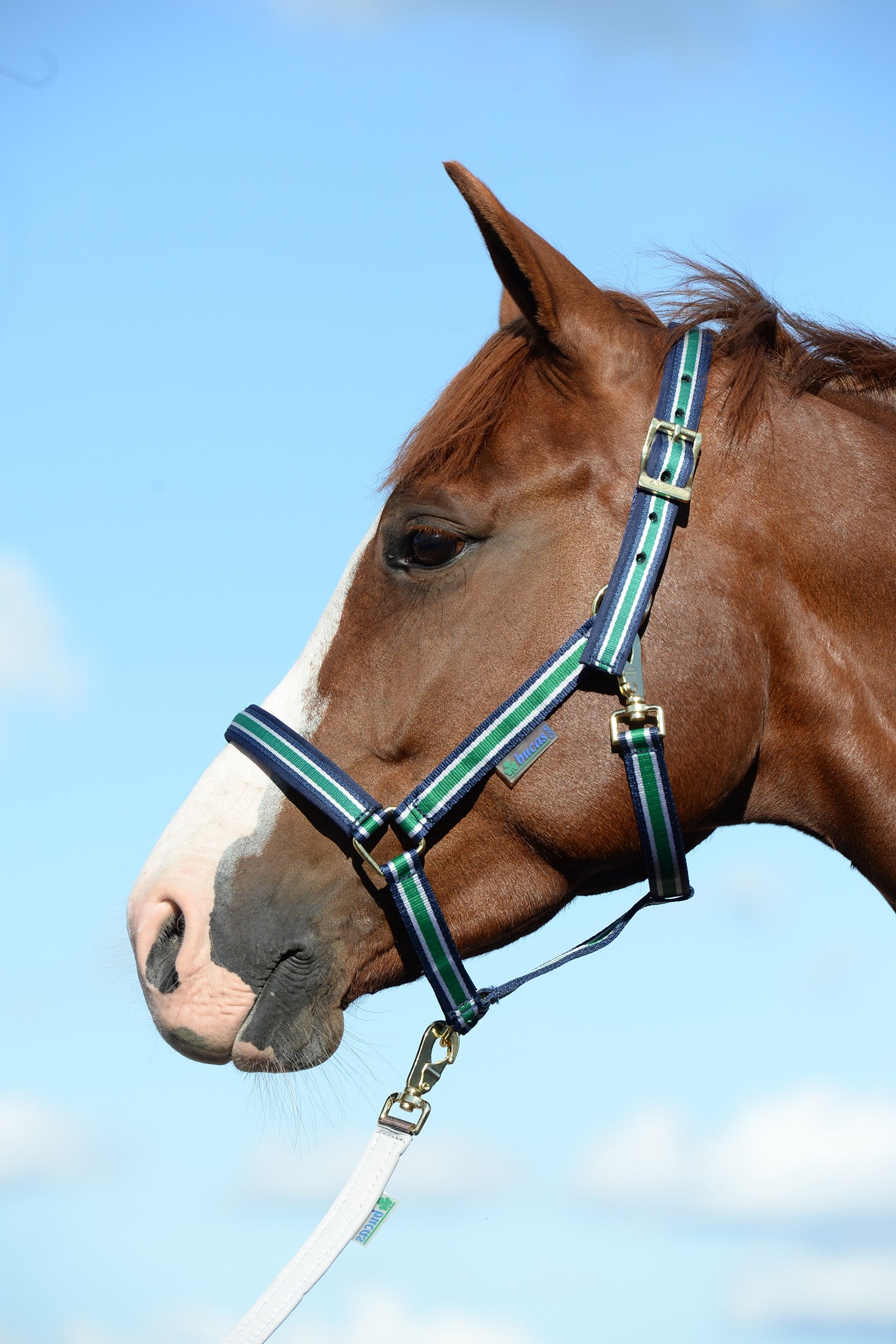 Bucas Luksusowa wyściełana kamizelka Dublin Kantary i uwiązy