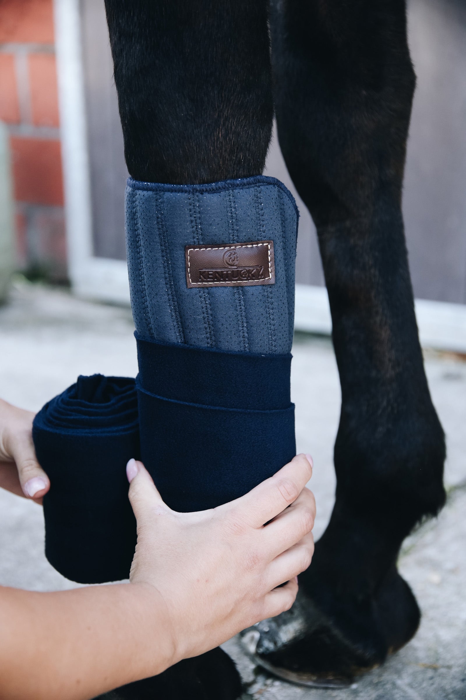 Kentucky Horsewear Absorb leg wraps, 45x30cm Leg Protection & Hoof Protection for Horses