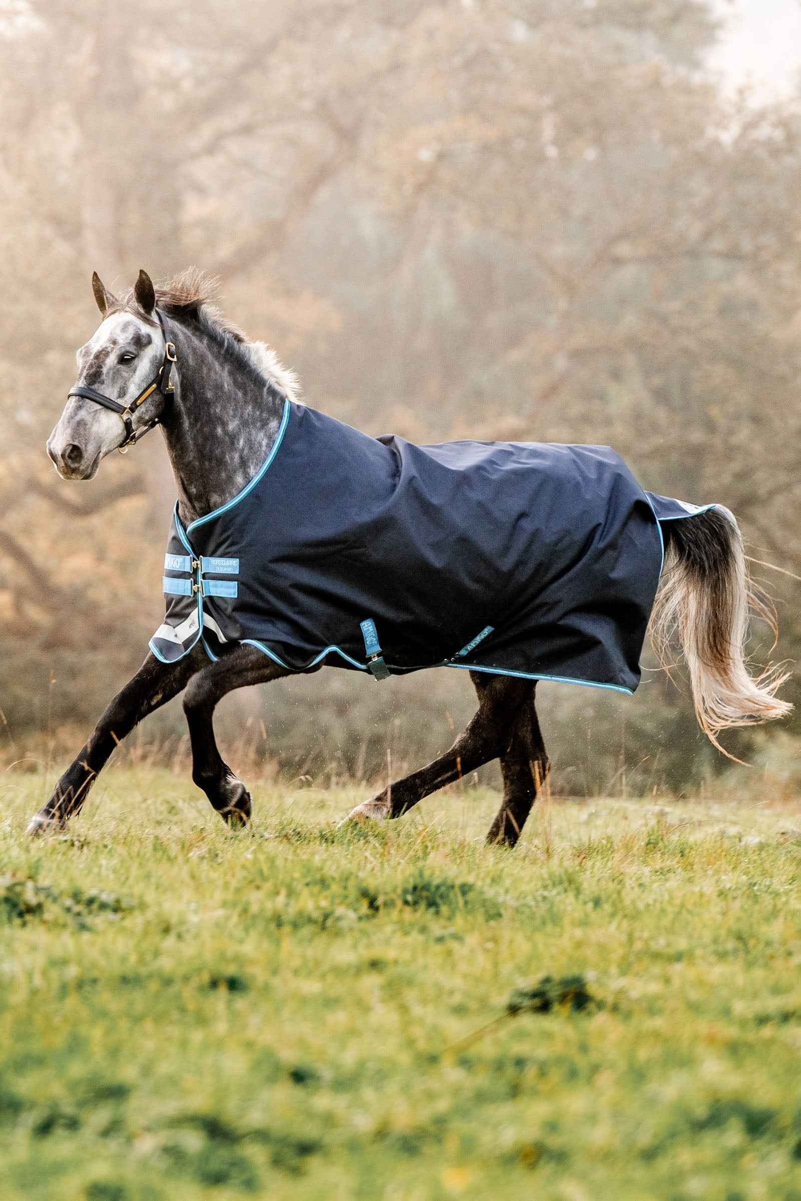 Horseware Amigo Bravo 12 derka padokowa, 100g Derki