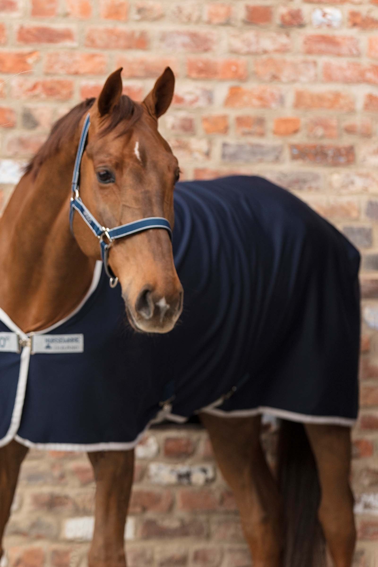 Horseware Amigo Head collar Halters & Leads