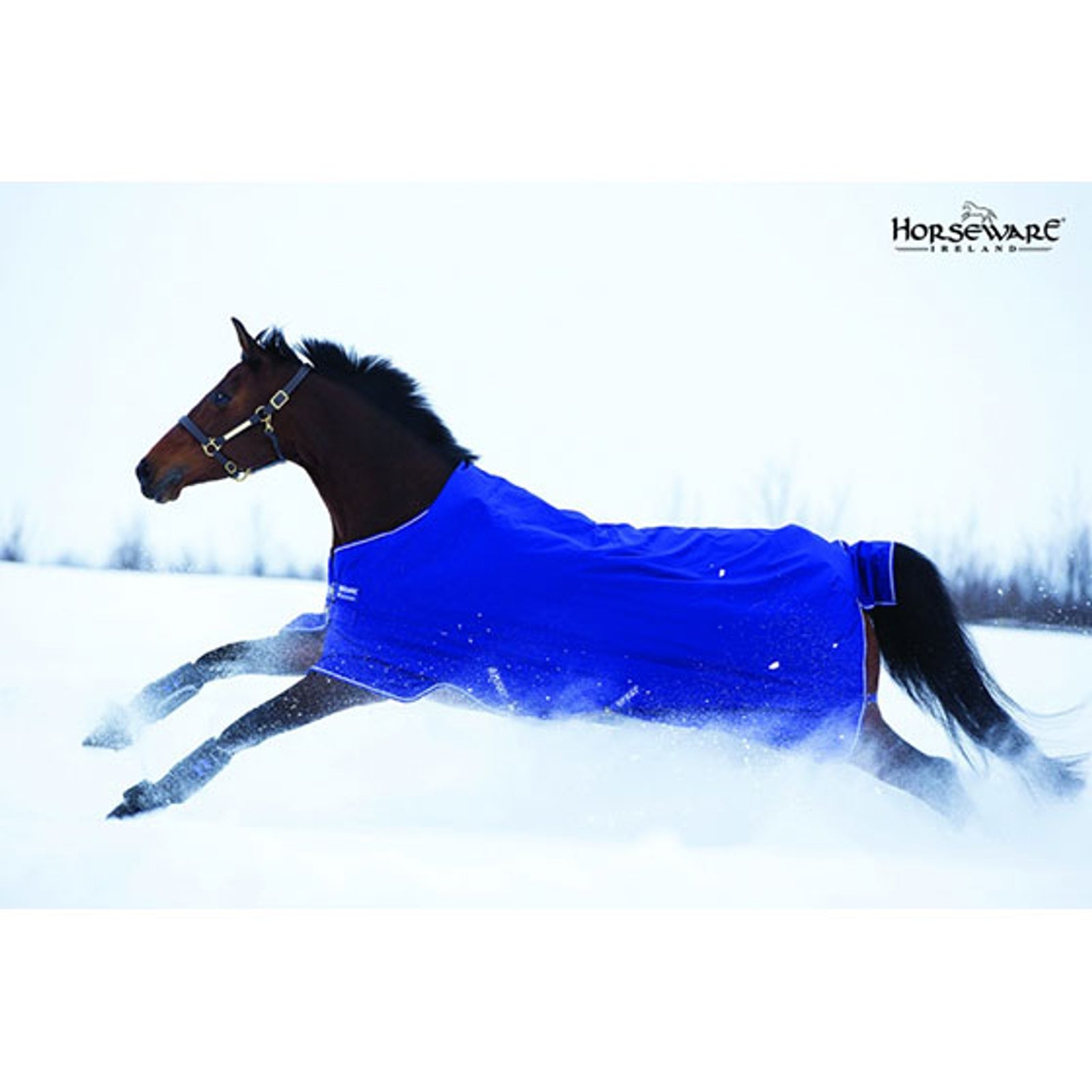 Horseware Amigo Hero-6 Lite, 0g Horse Rugs