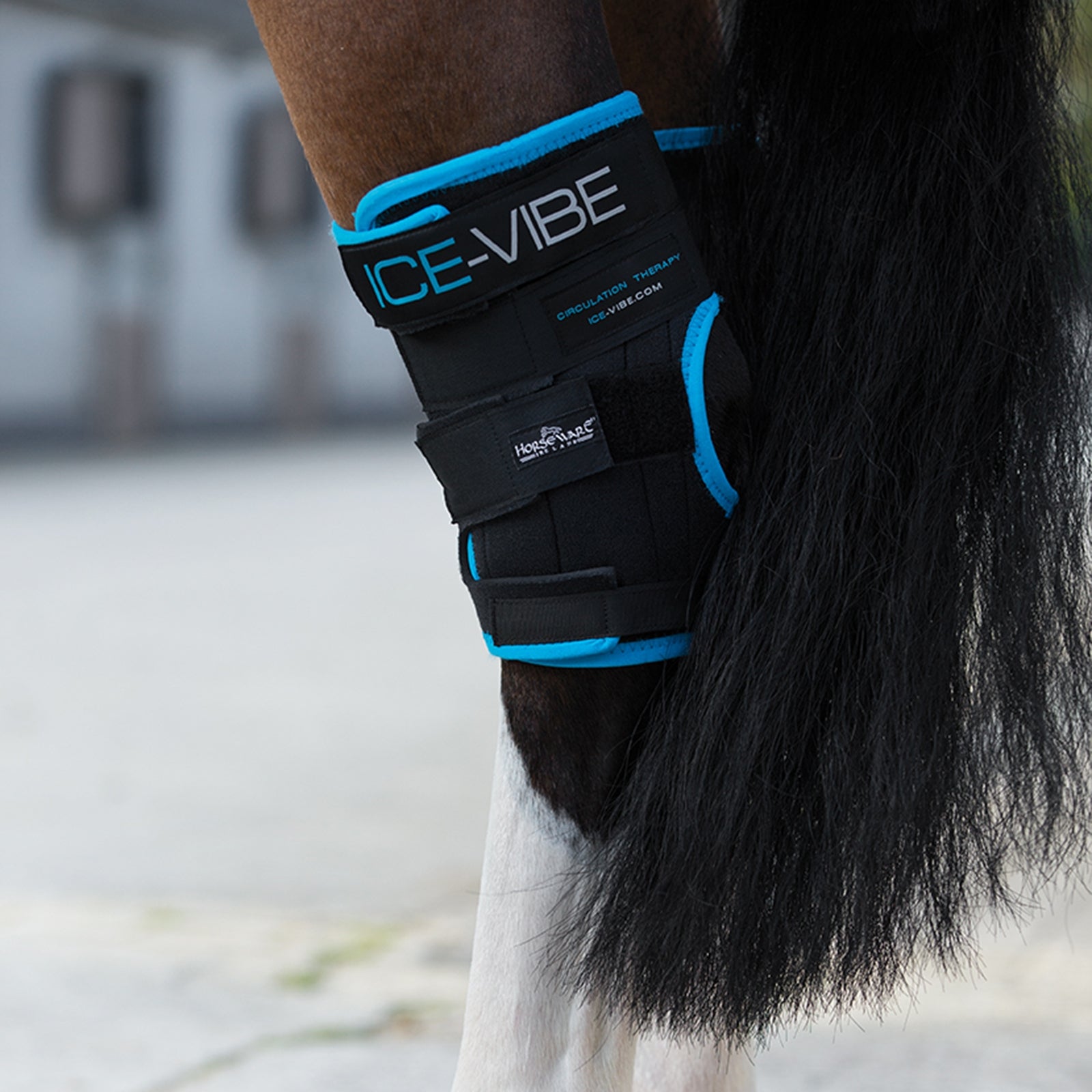 Horseware Ochraniacz chłodząco-wibrujący Ice-Vibe na staw skokowy Leg Protection & Hoof Protection for Horses