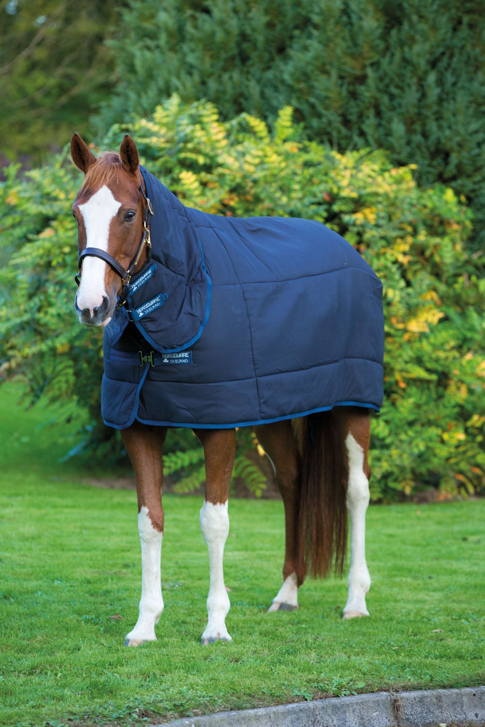 Horseware Podpinka pod derkę Plus z kapturem, 300 g Derki