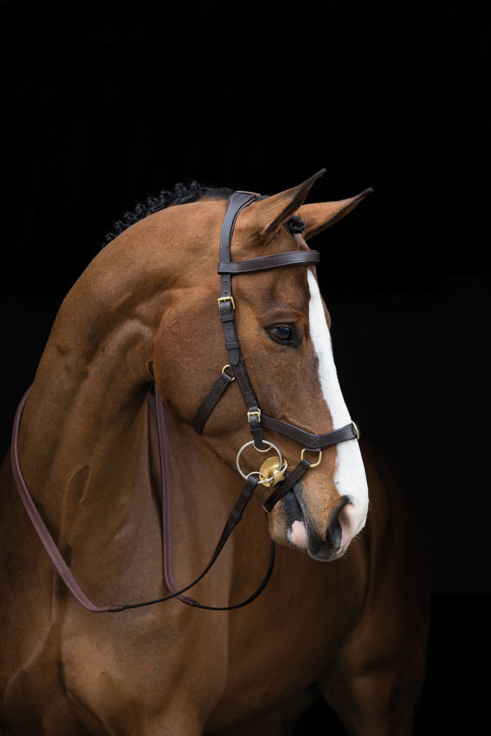Horseware Ogłowie Rambo Micklem Multi Ogłowia i wodze