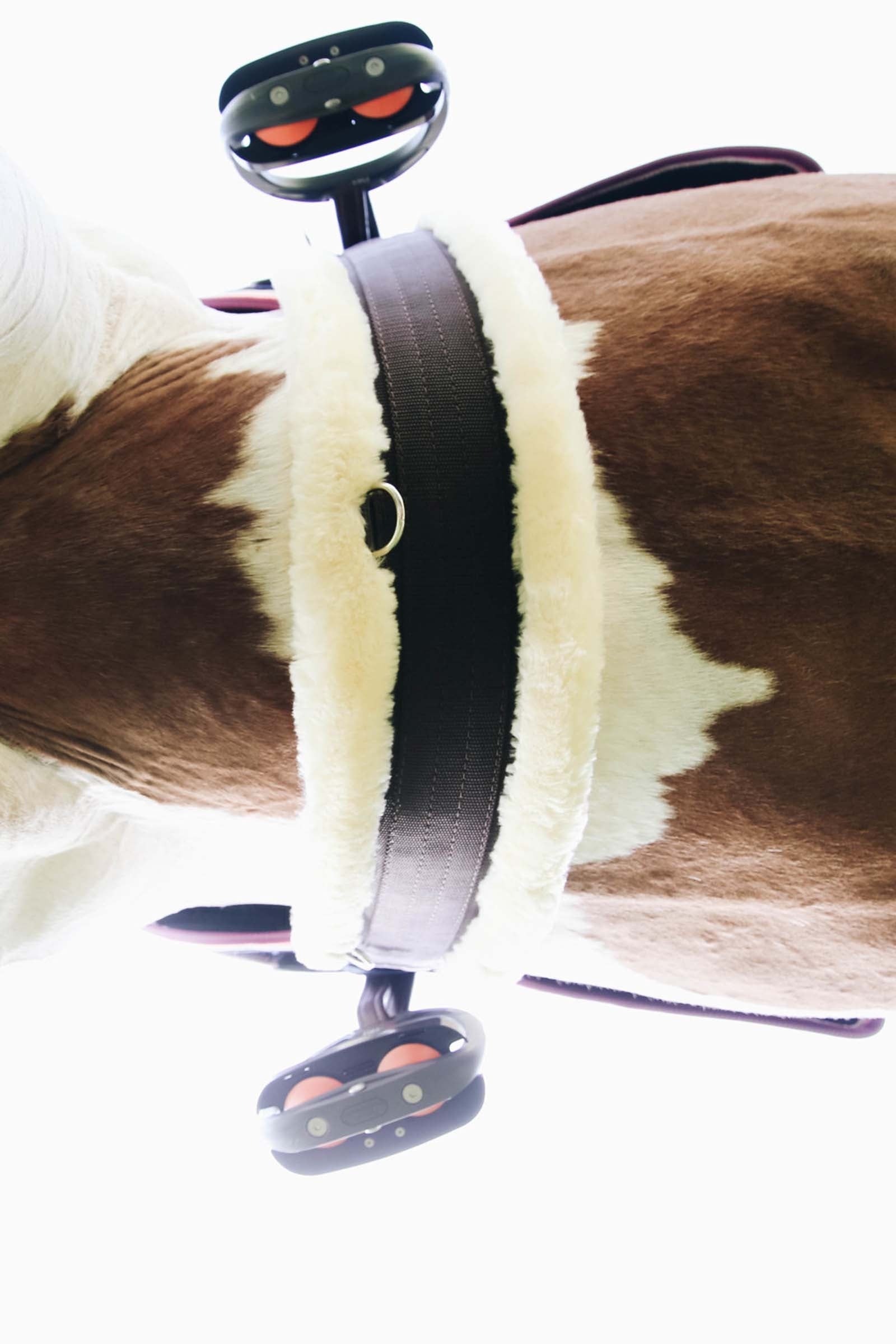 Kentucky Horsewear Sheepskin Girth Saddles, Girths & Stirrups