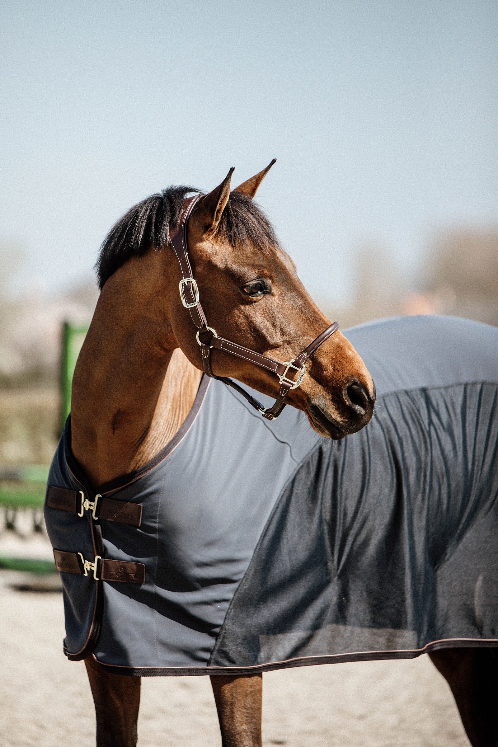 Kentucky Horsewear Softshell Cooler Horse Rugs