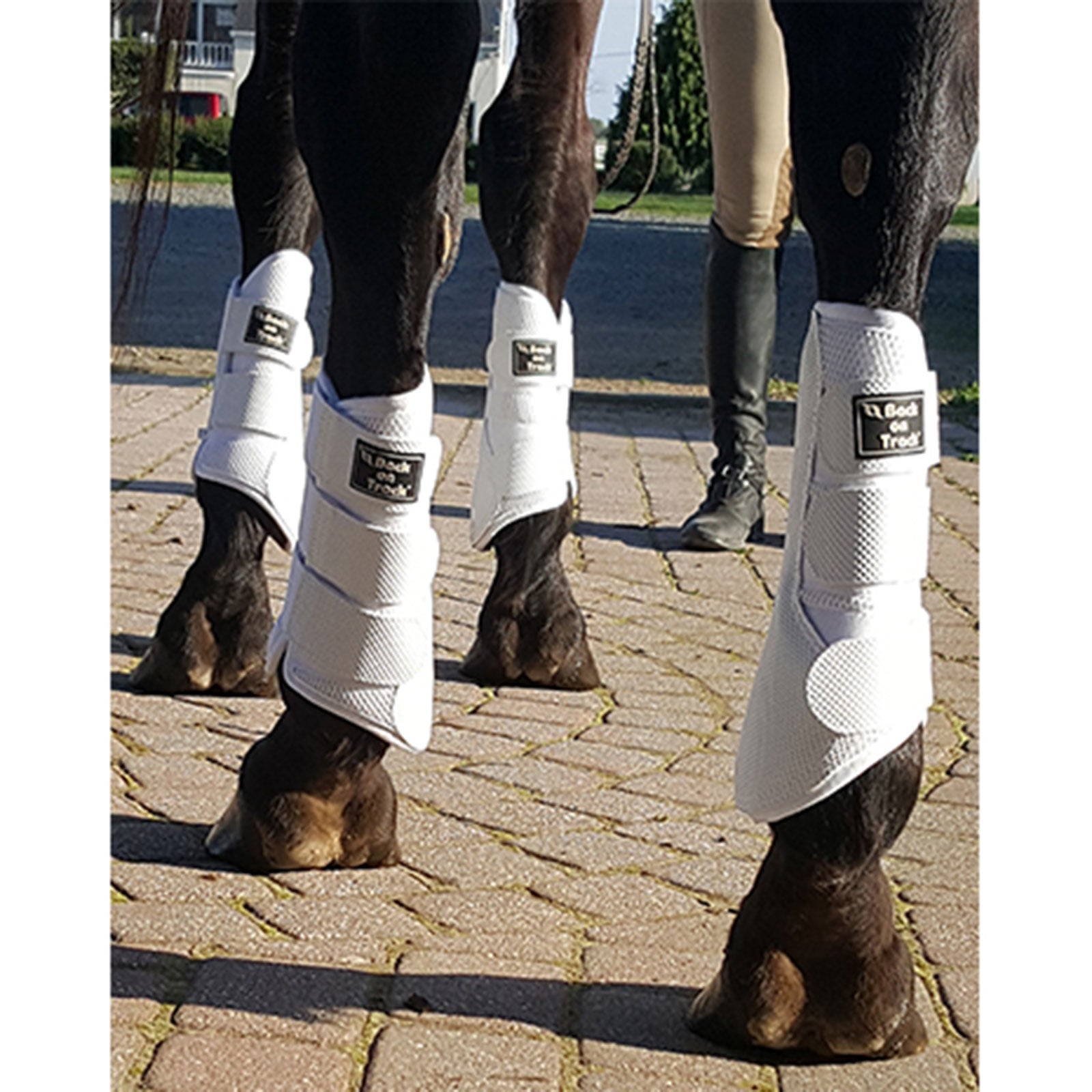 Back on Track Ochraniacze Splint, L-XL Leg Protection & Hoof Protection for Horses