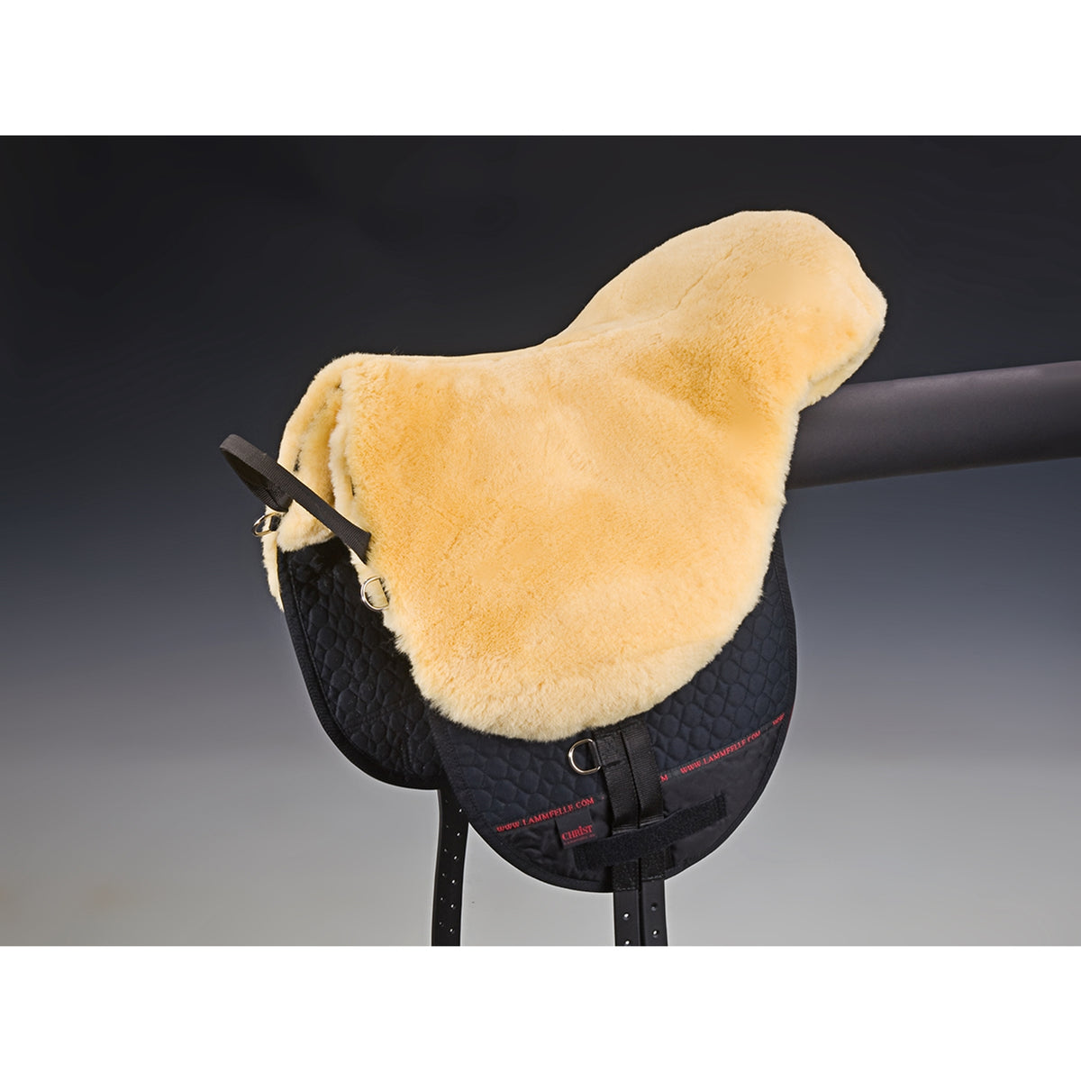 Christ Bareback riding Basic Plus, SH Saddles, Girths & Stirrups