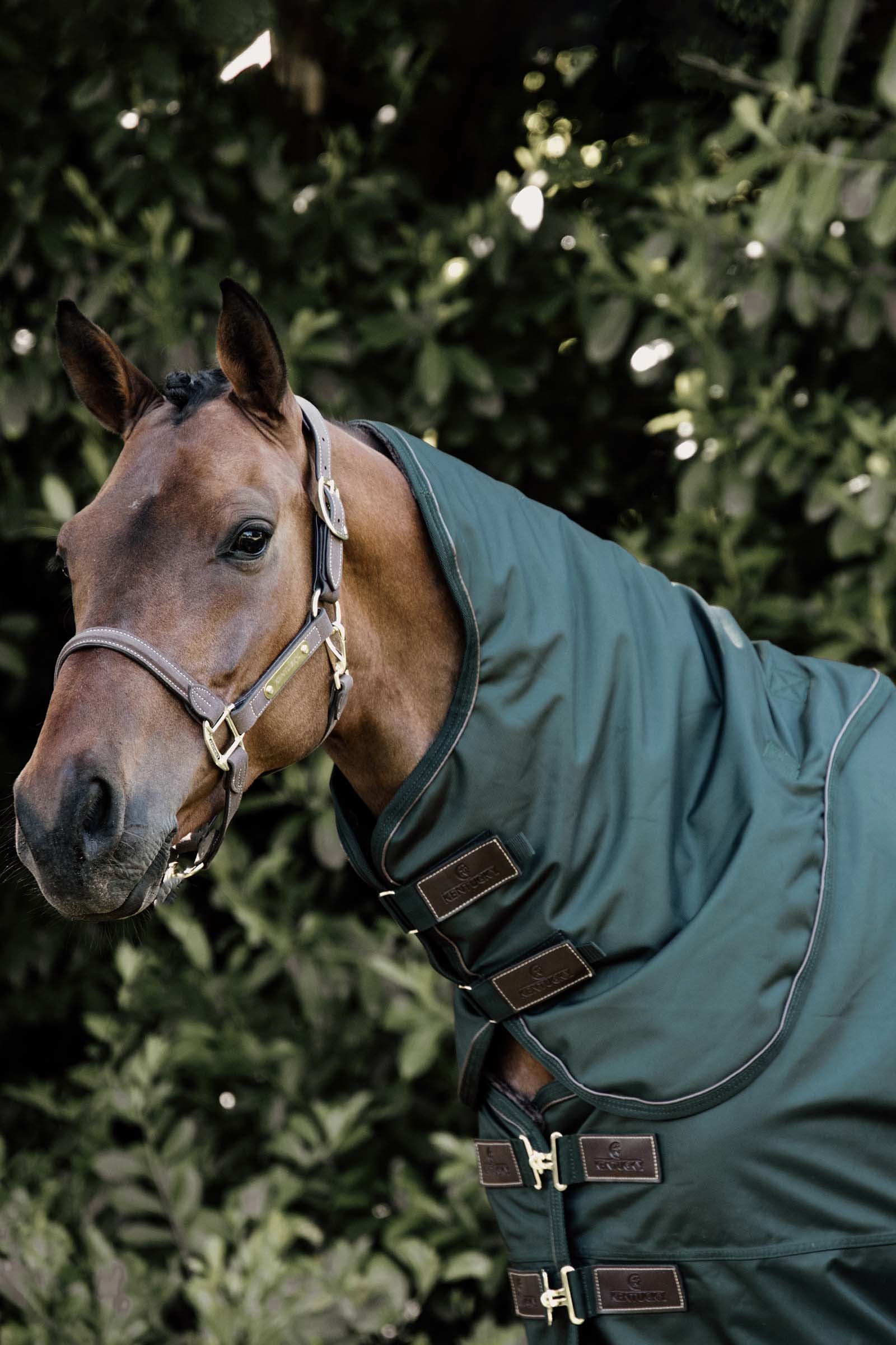 Kentucky Horsewear All Weather Neck, 150g Horse Rugs