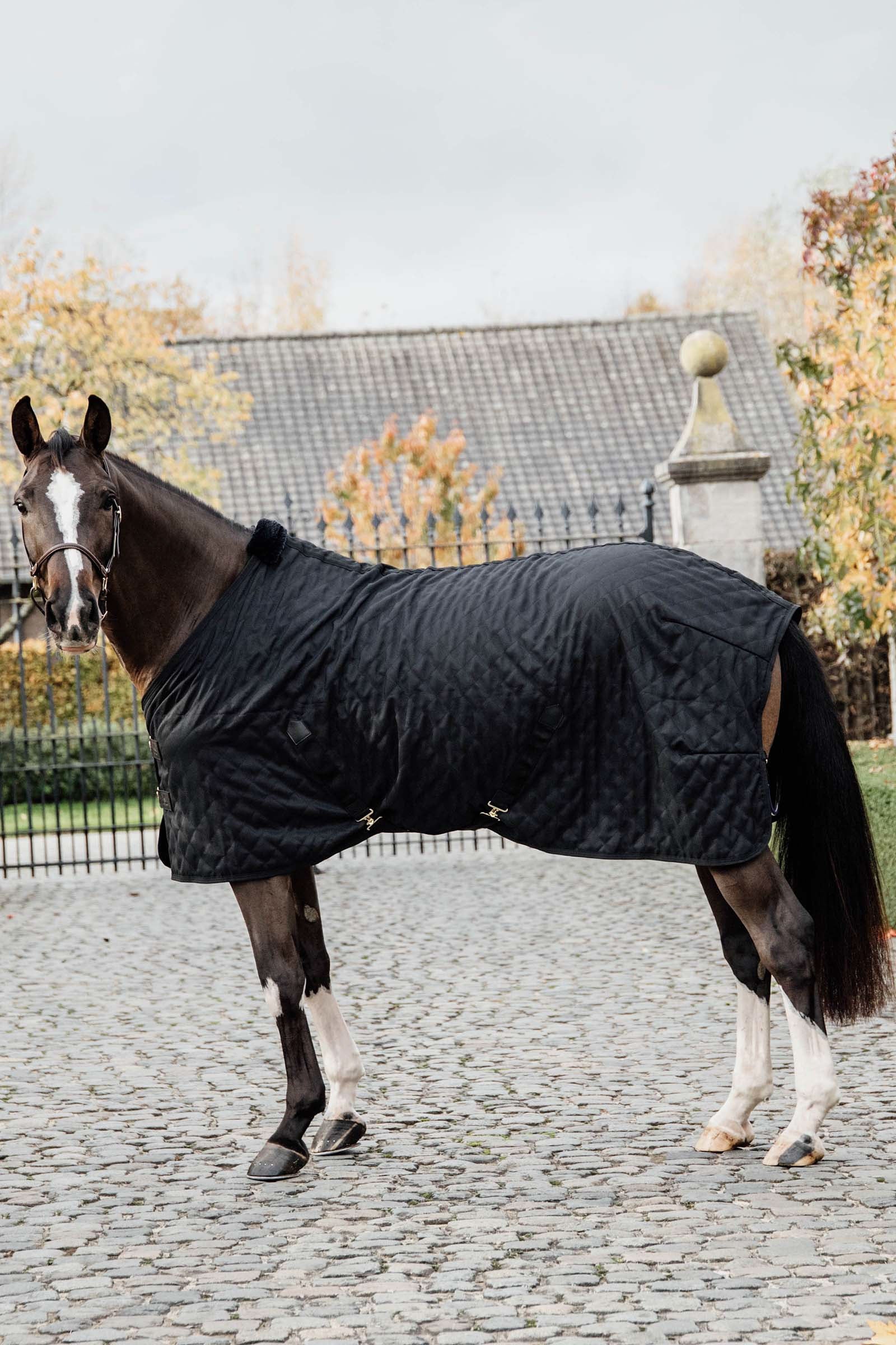 Kentucky Horsewear Derka stajenna 0g Derki
