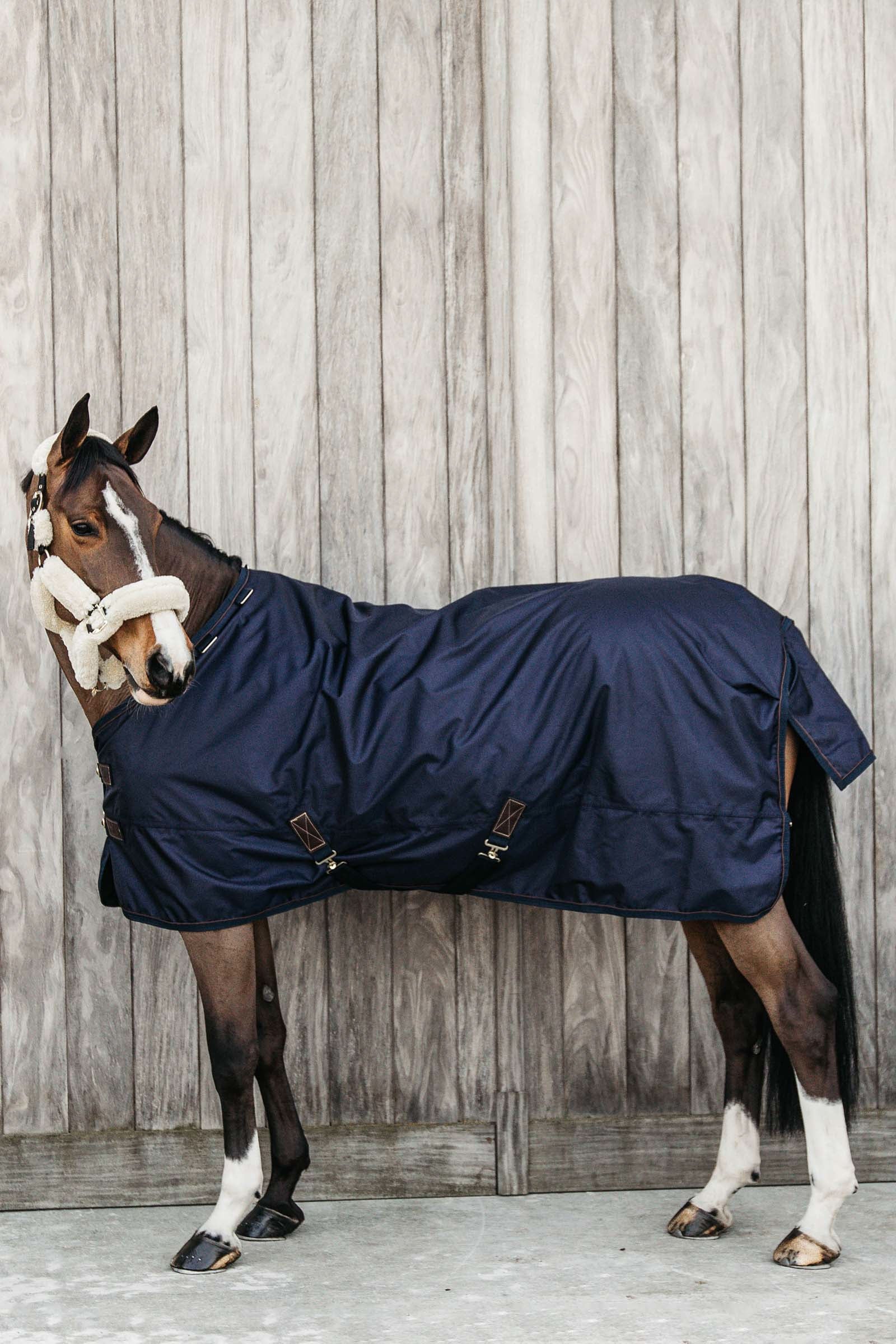 Kentucky Horsewear Turnout rug all weather waterproof pro 160g Horse Rugs