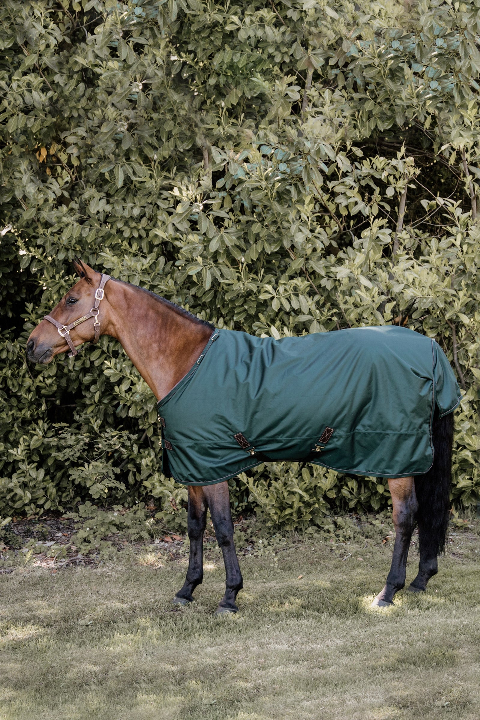 Kentucky Horsewear Derka na każdą pogodę, 160 g Derki