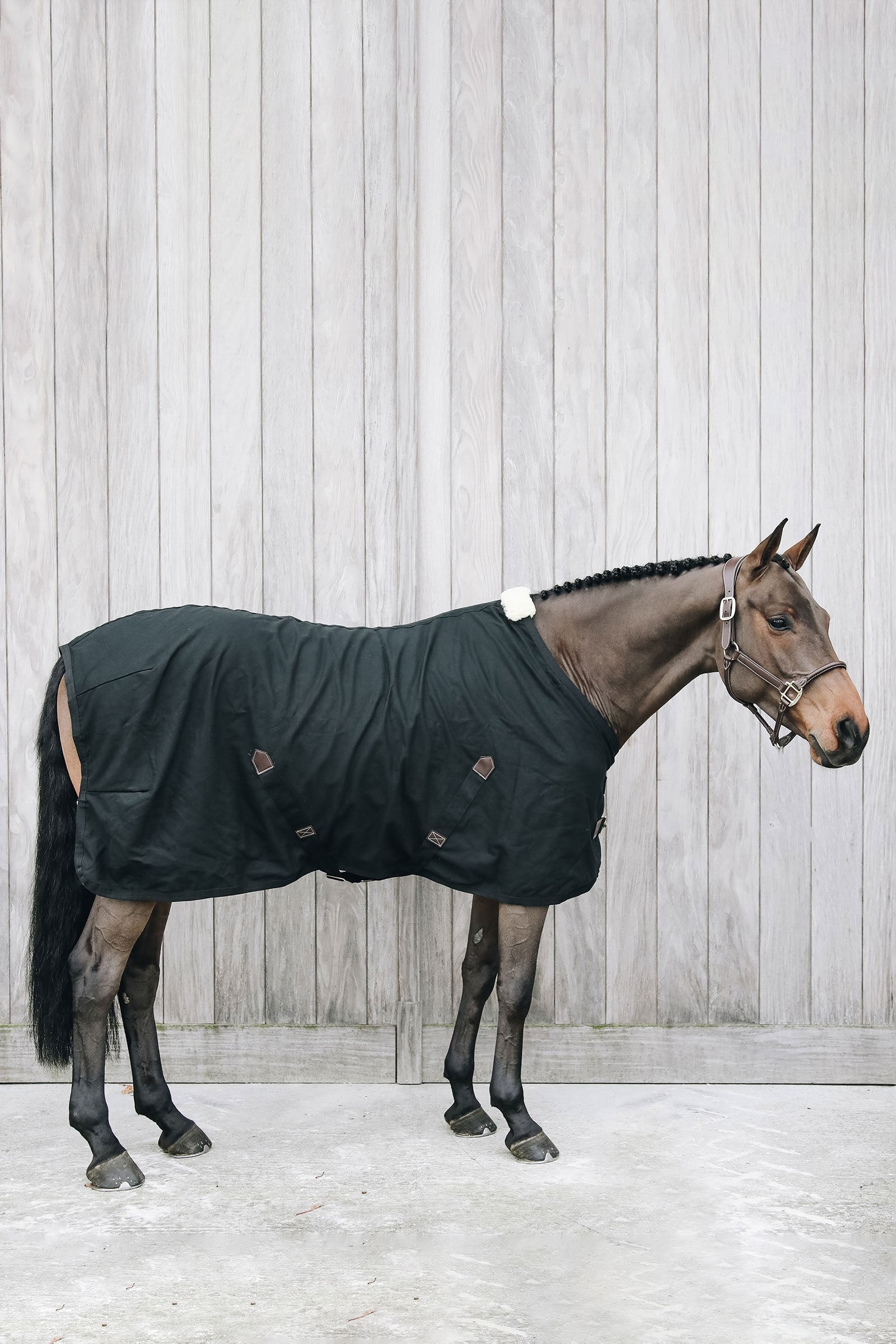 Kentucky Horsewear Derka bawełniana Cotton Derki