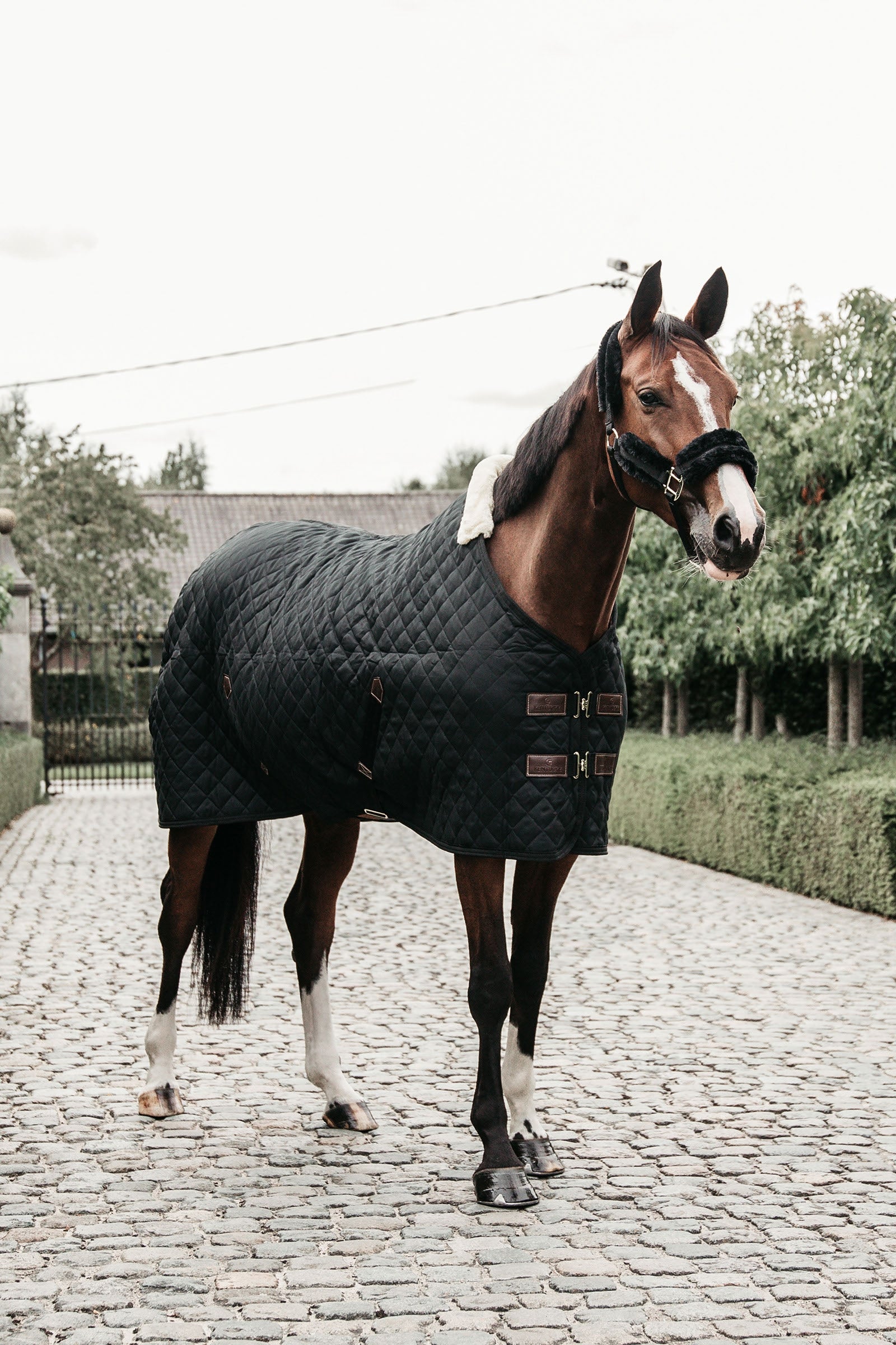 Kentucky Horsewear Derka stajenna 400g Derki