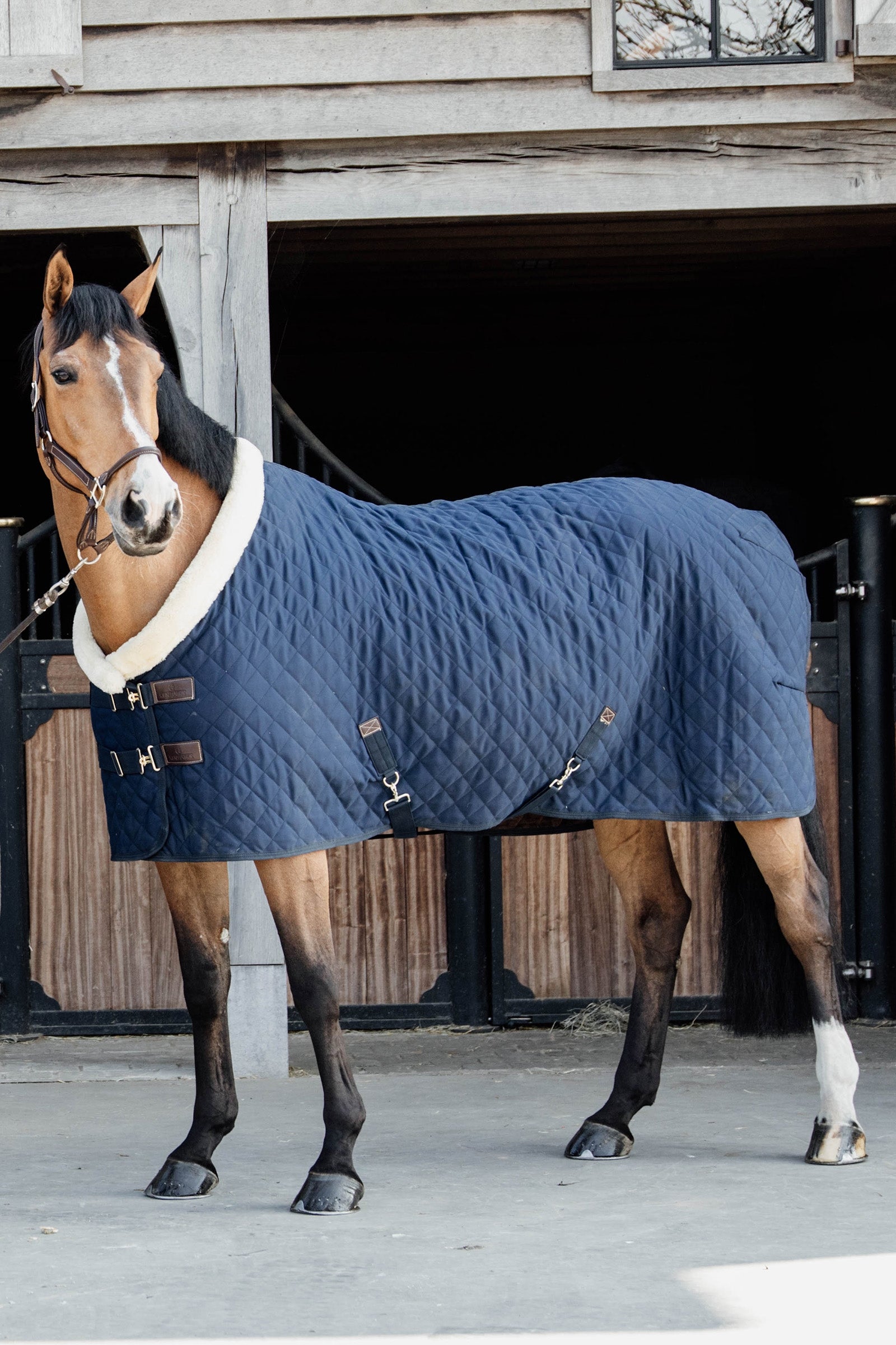 Kentucky Horsewear Show rug 160g Horse Rugs