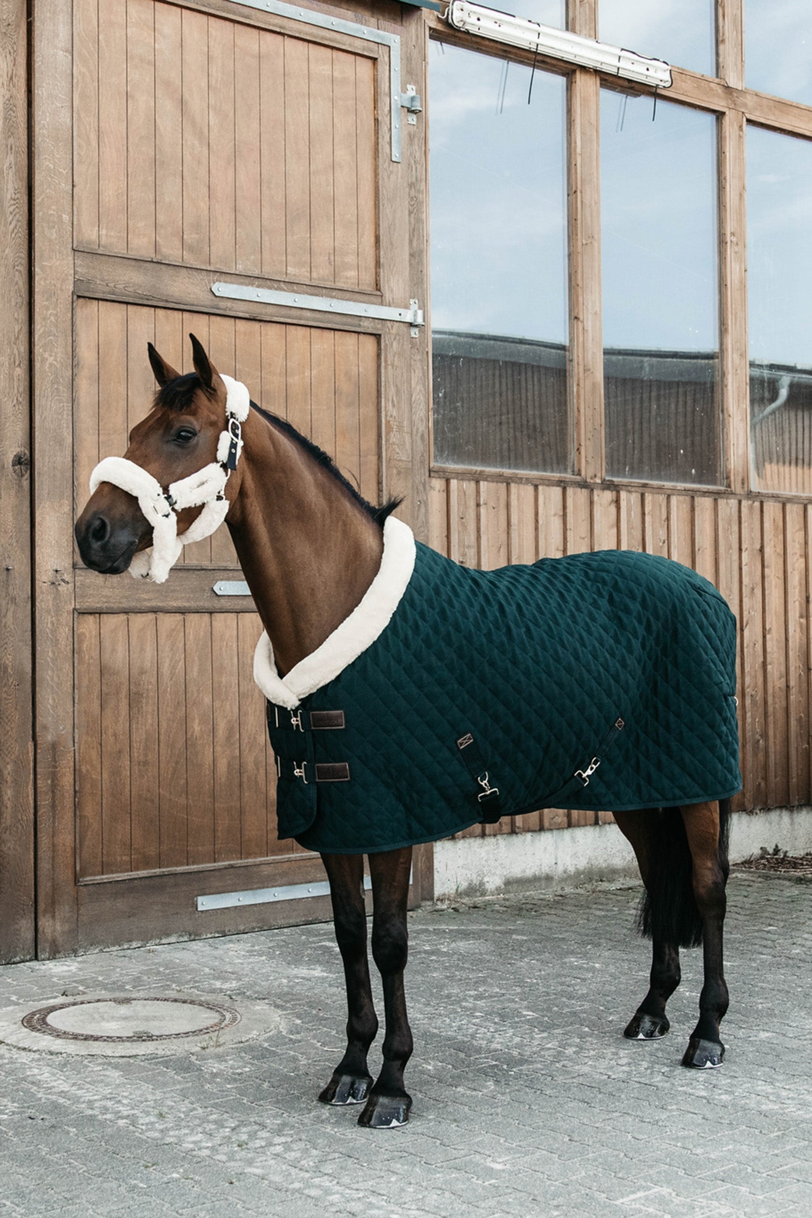 Kentucky Horsewear Derka na zawody 160g Derki