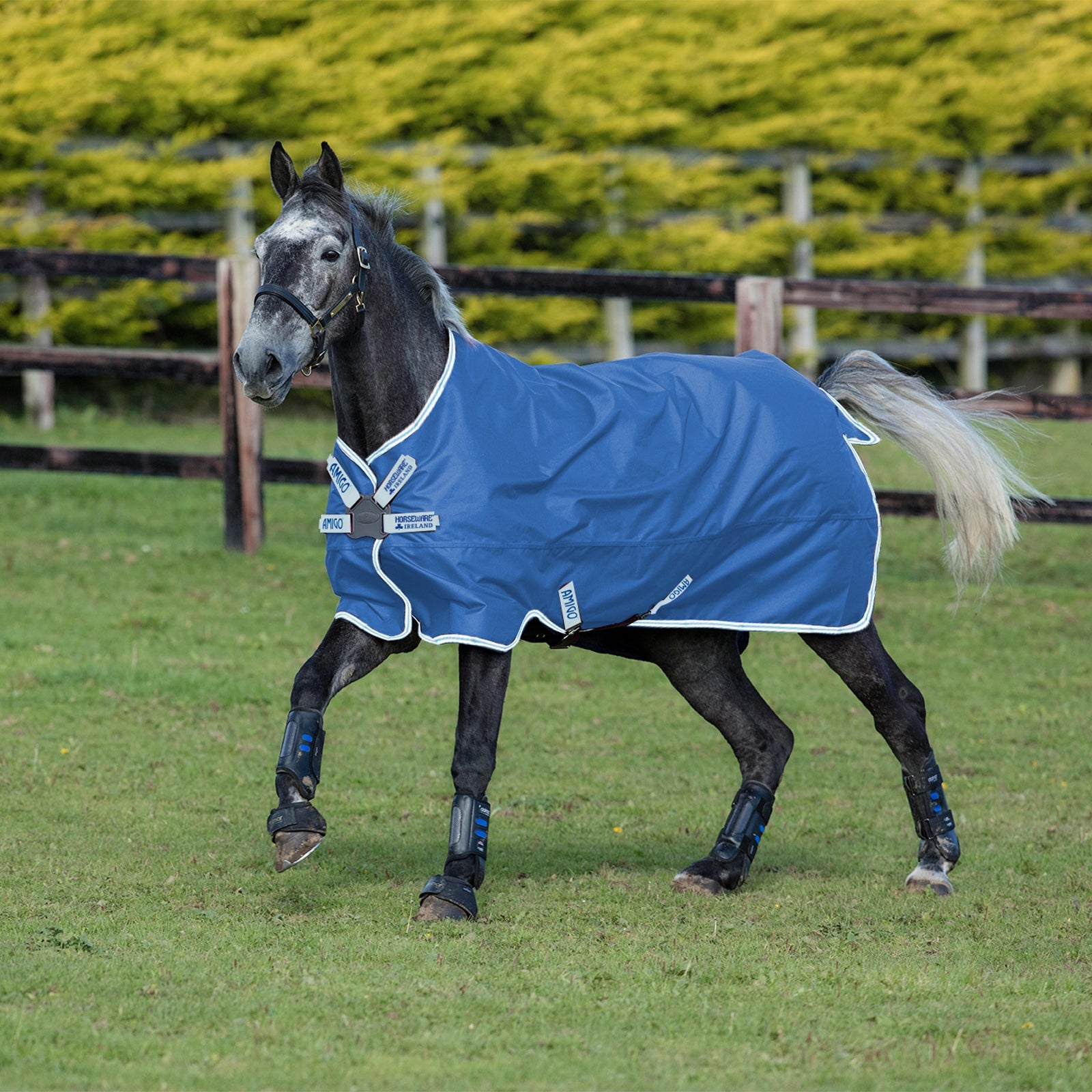 Horseware Derka padokowa Amigo Hero 900 Disc 50g Derki
