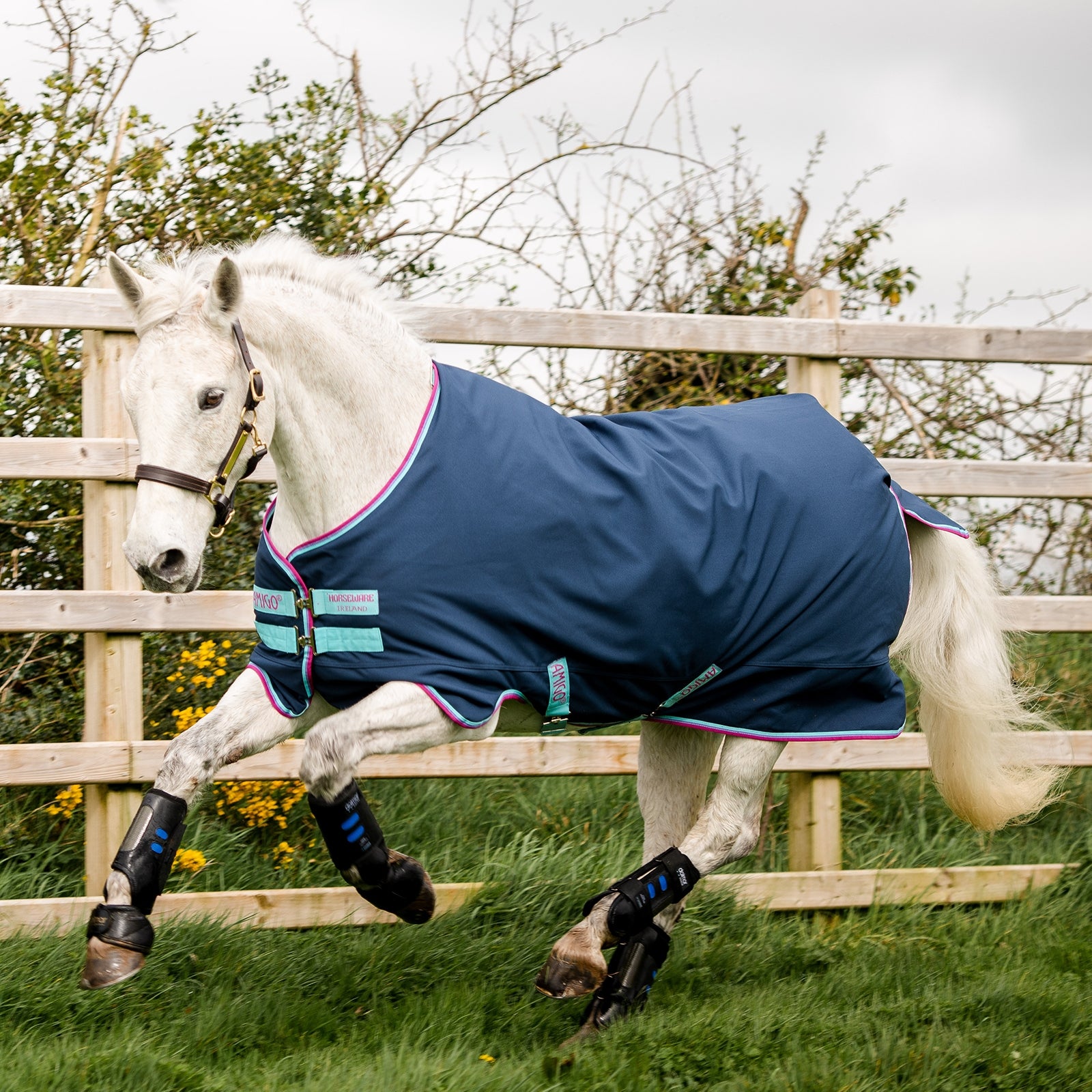 Horseware Derka padokowa dla kuca Amigo Hero 900, 0 g Derki