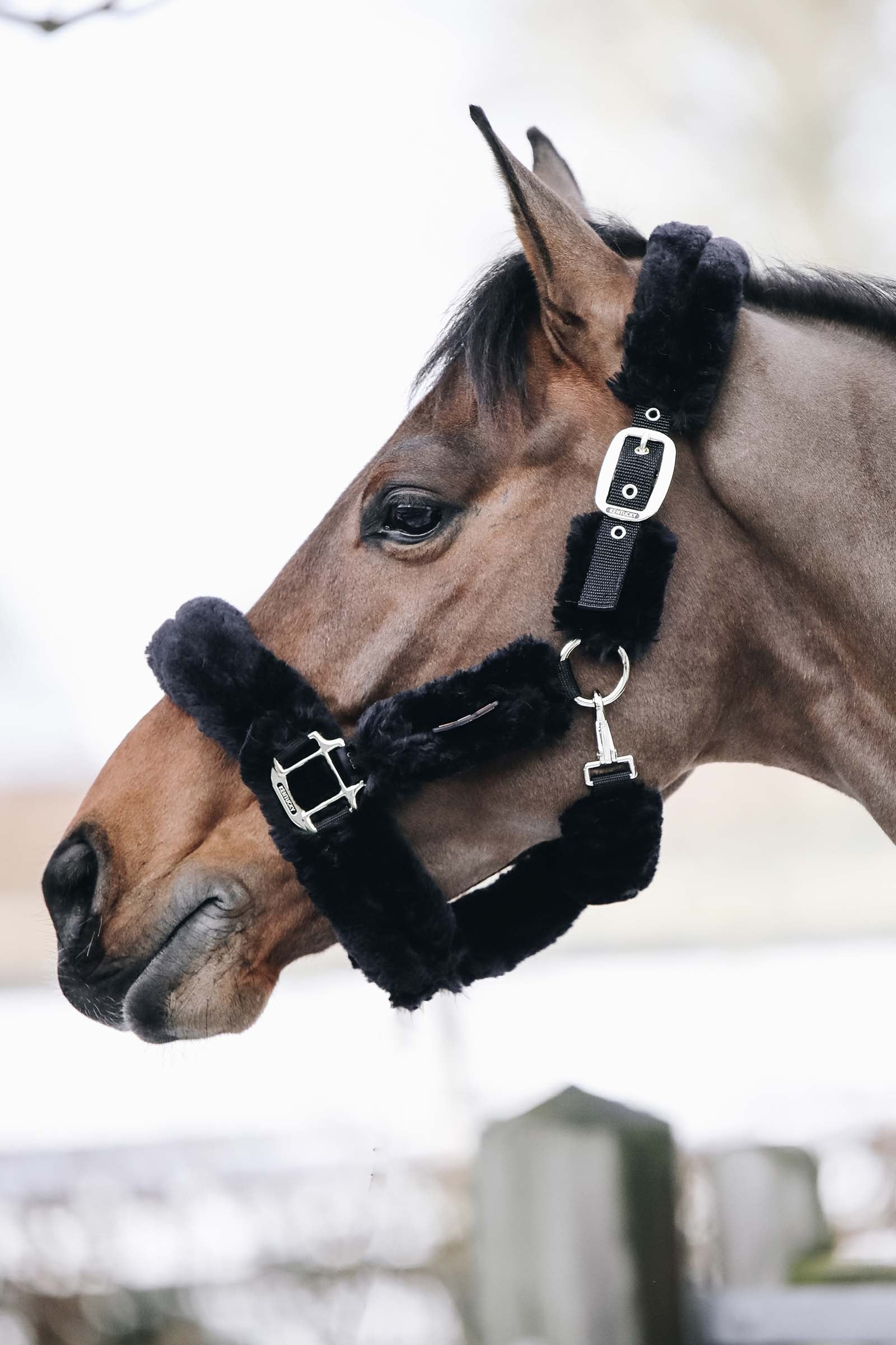 Kentucky Horsewear Shipping Halter With Sheepskin Halters & Leads
