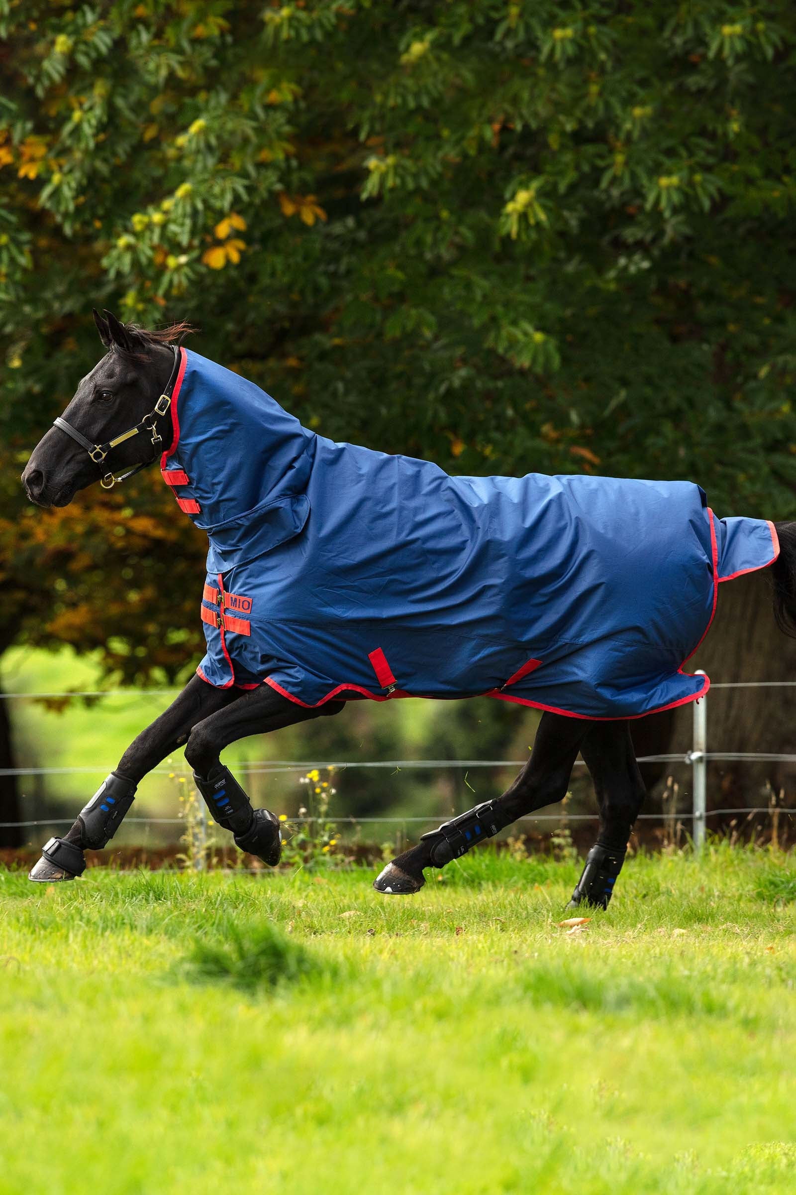 Horseware Jednoczęściowa derka padokowa Mio z kapturem 350g Derki
