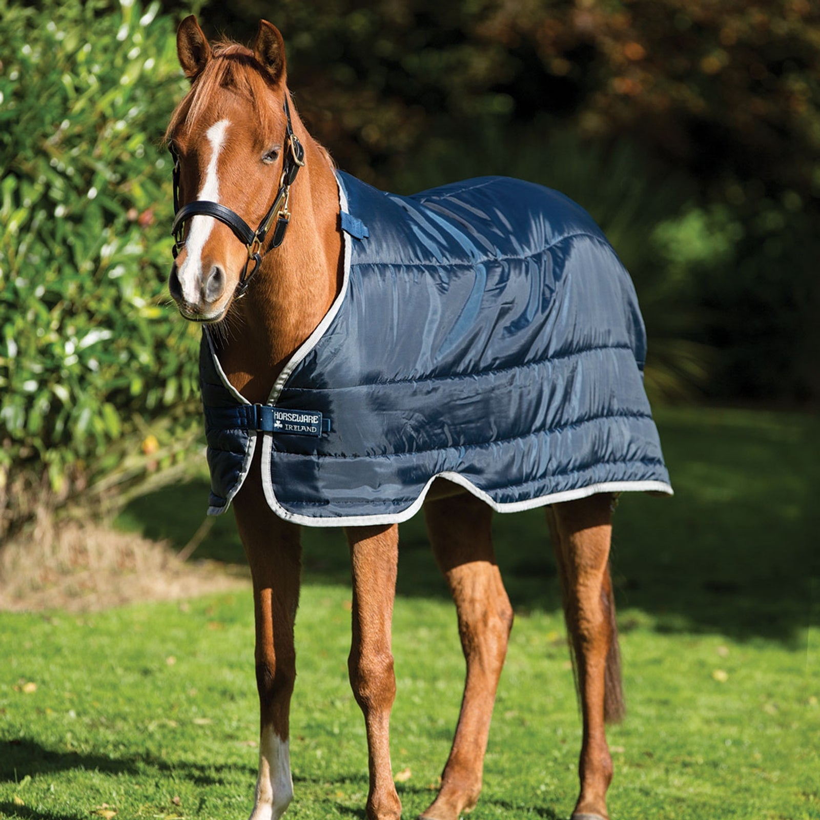 Horseware Podpinka pod derkę dla kuca Pony, 100g Derki