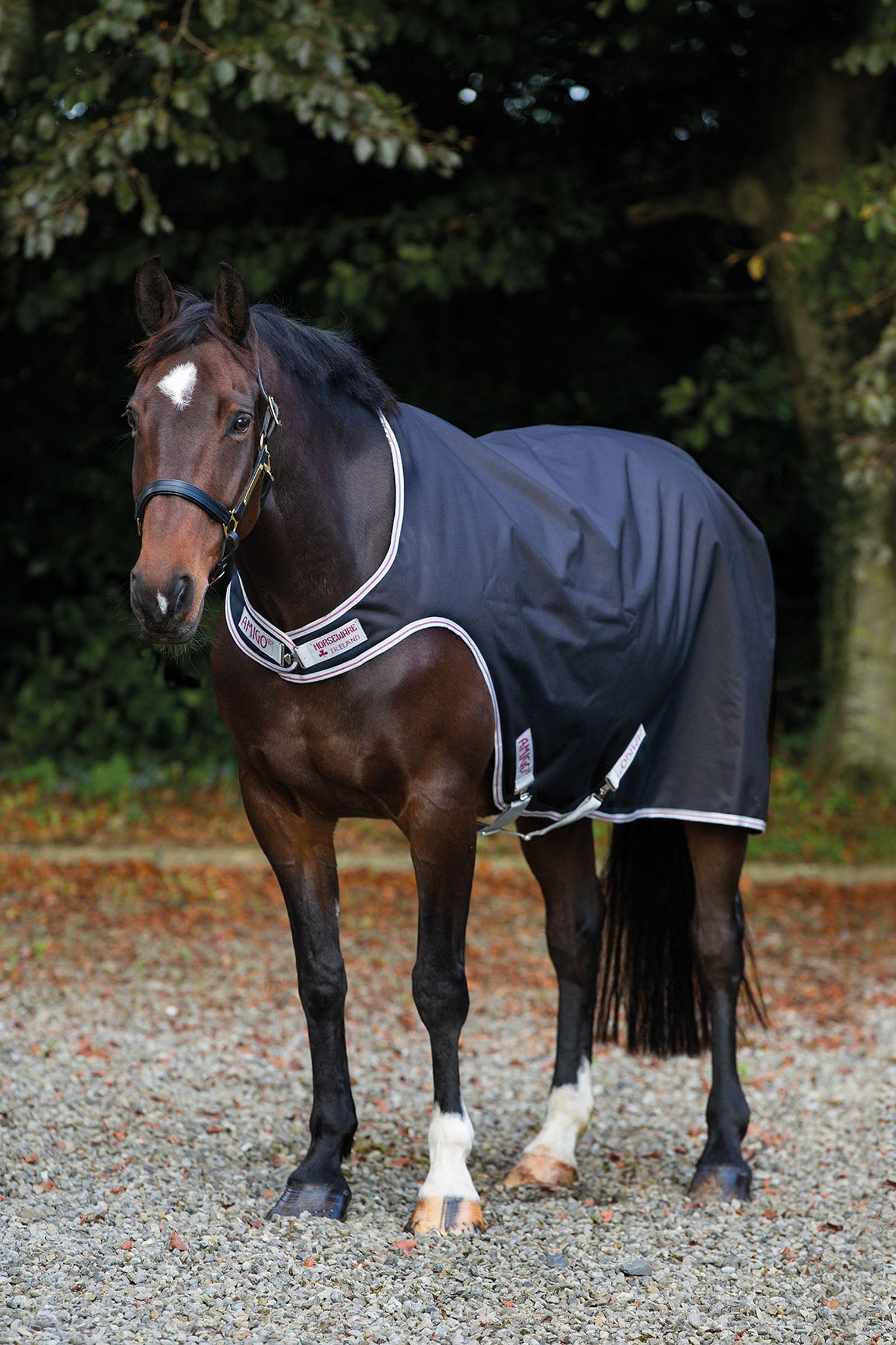Horseware Amigo derka do karuzeli nieprzemakalna, 100g Derki
