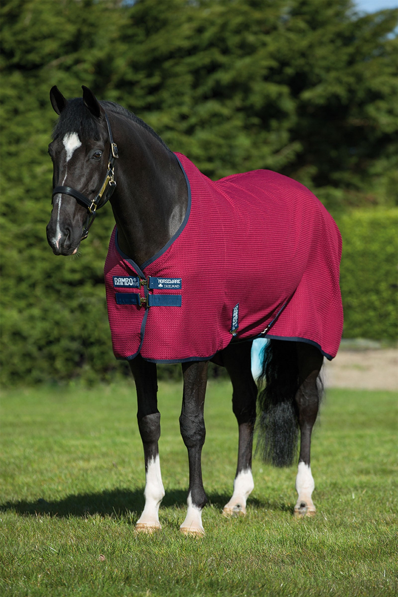Horseware Derka osuszająca Rambo Techni Waffle Derki