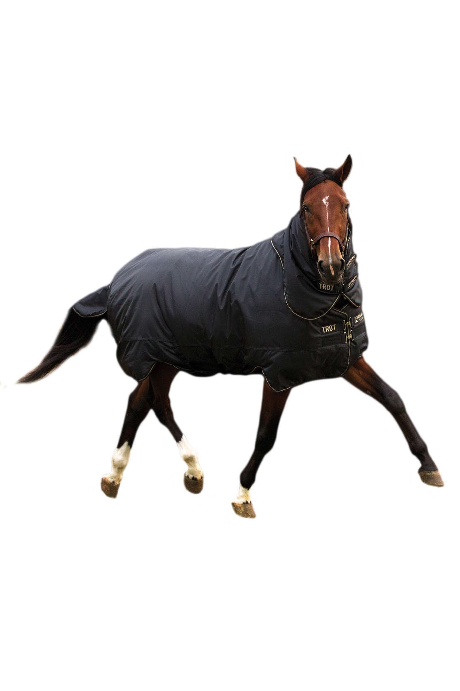 Horseware Trot Plus Derka padokowa z odpinanym kaptur, 350g Derki