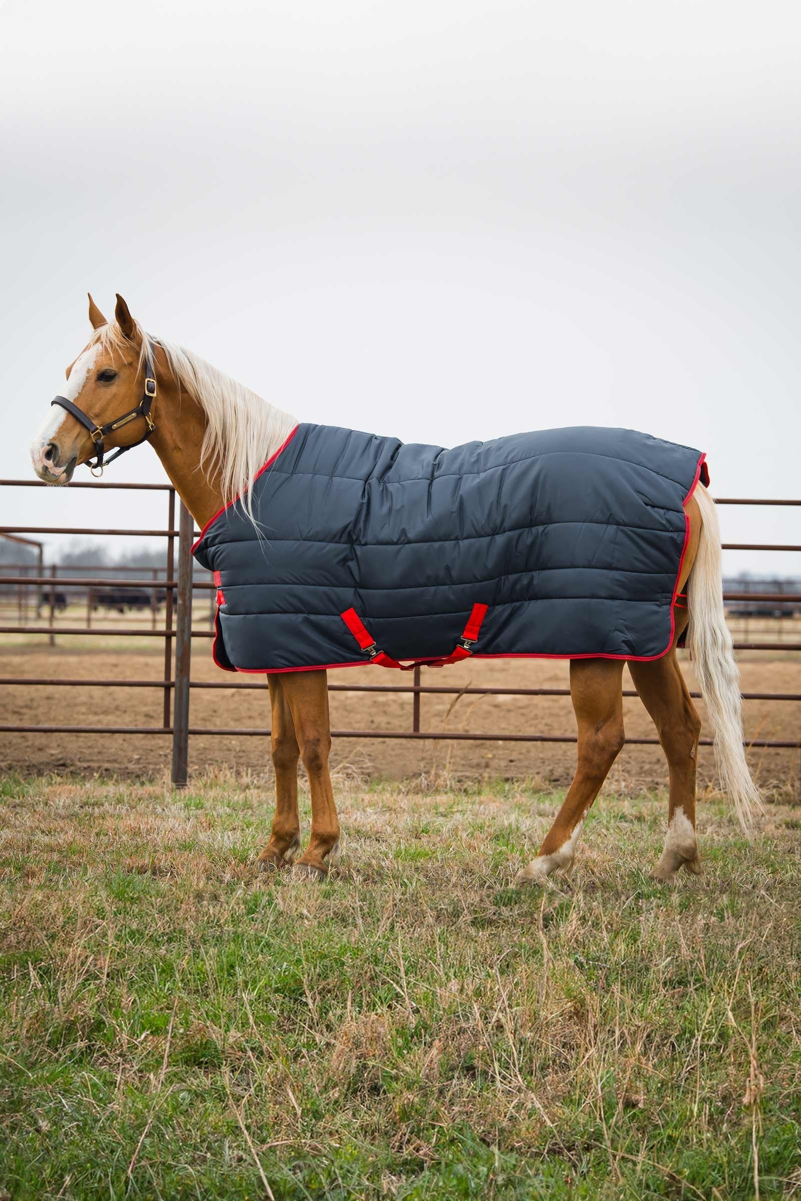 Horseware Mio Insulator Stable Rug, 150g Horse Rugs