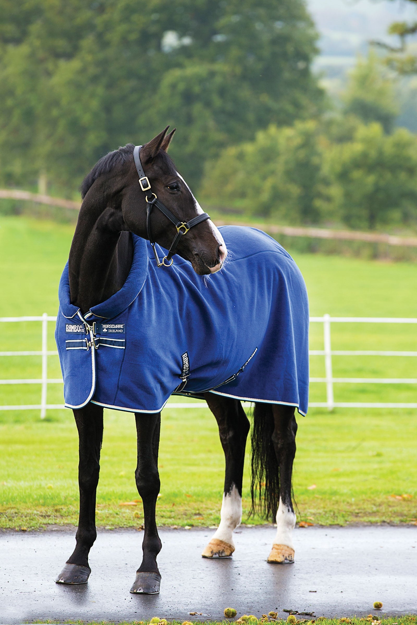 Horseware Rambo Cosy Fleece Cooler Horse Rugs