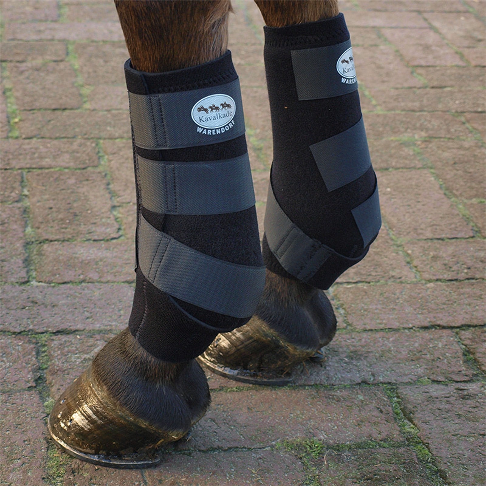Kavalkade Kozaki neoprenowe Leg Protection & Hoof Protection for Horses