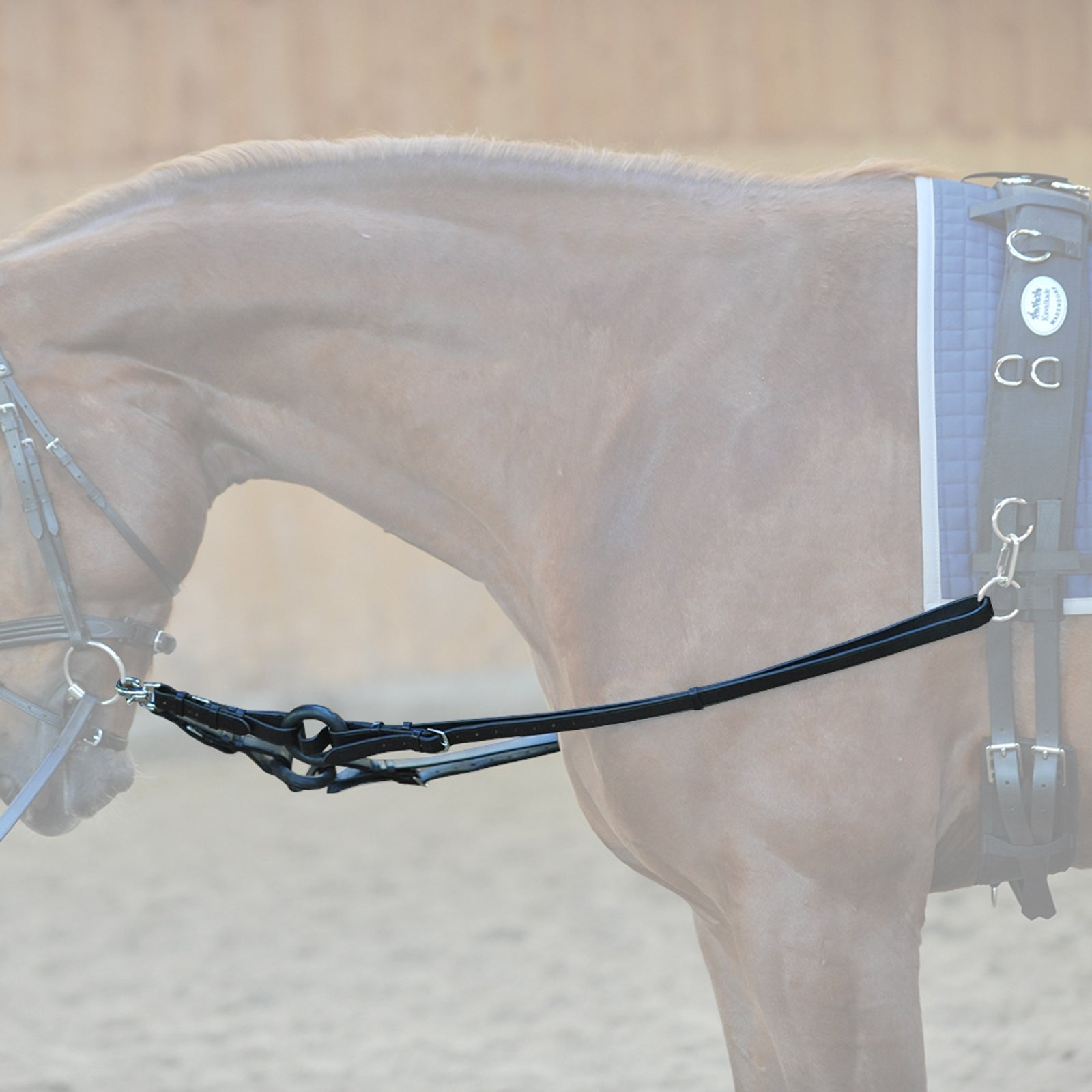 Kavalkade Wodze boczne Ogłowia i wodze