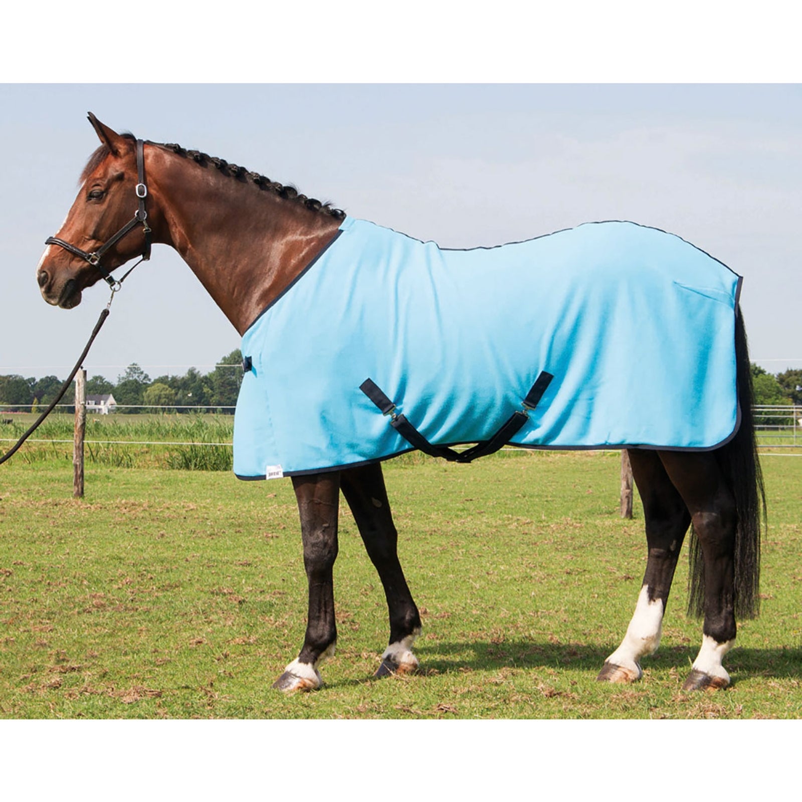 Harry's Horse Cooler Horse Rugs