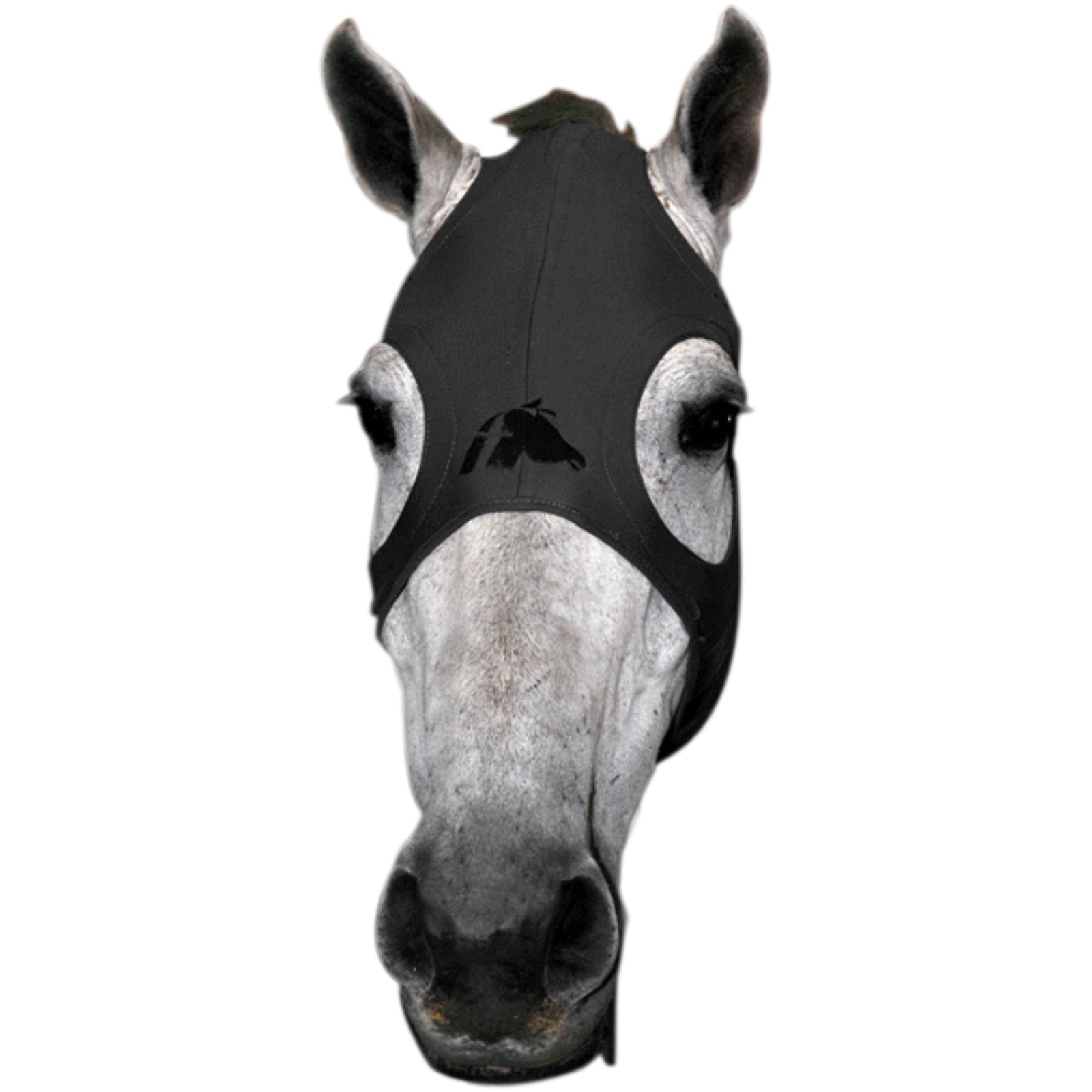 Fenwick Equestrian USA Fenwick Liquid Titanium Mask Sprzęt wyścigowy