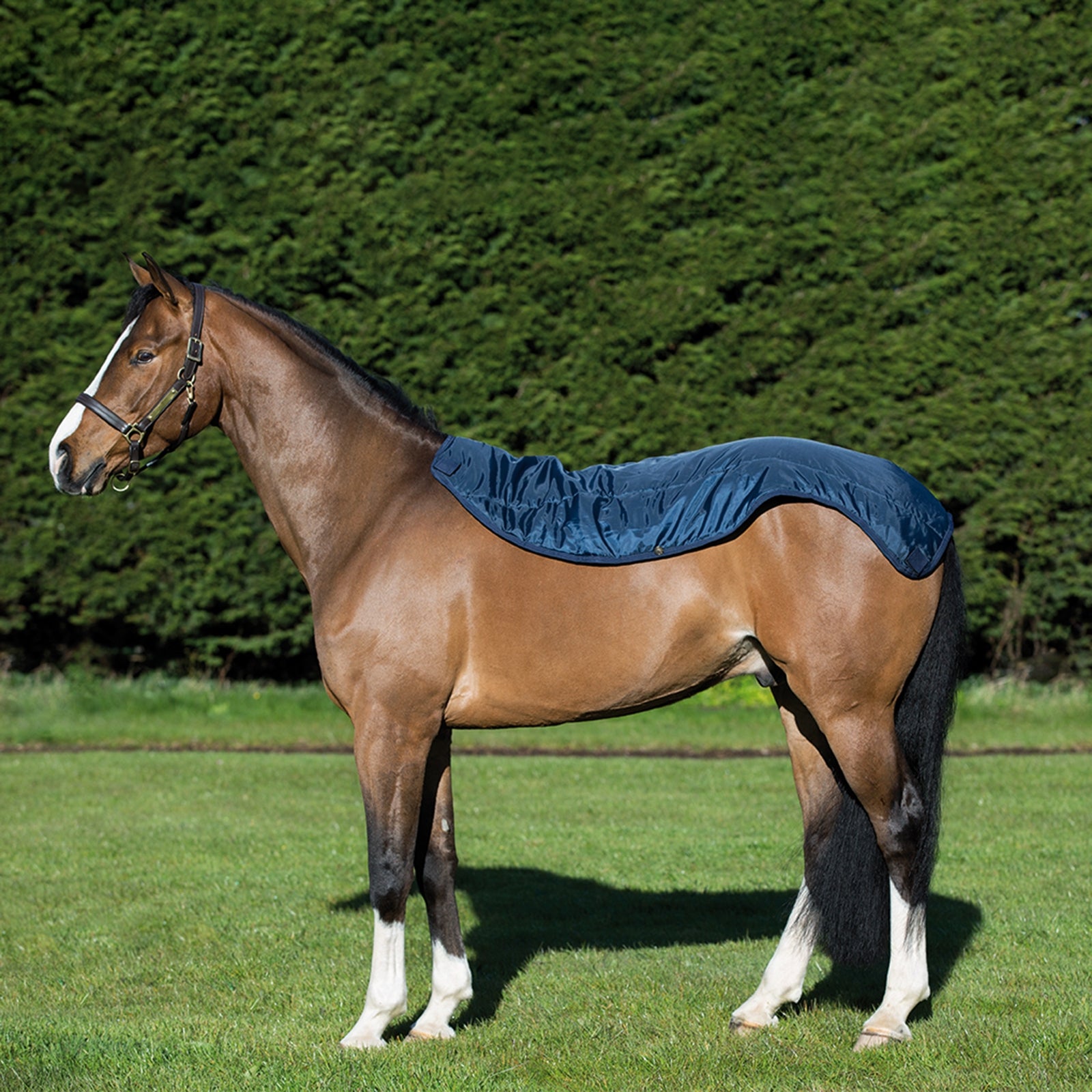 Horseware Rambo Summer Series Turnout Rug With Liner (0g / 100g) and Detachable Neck Horse Rugs