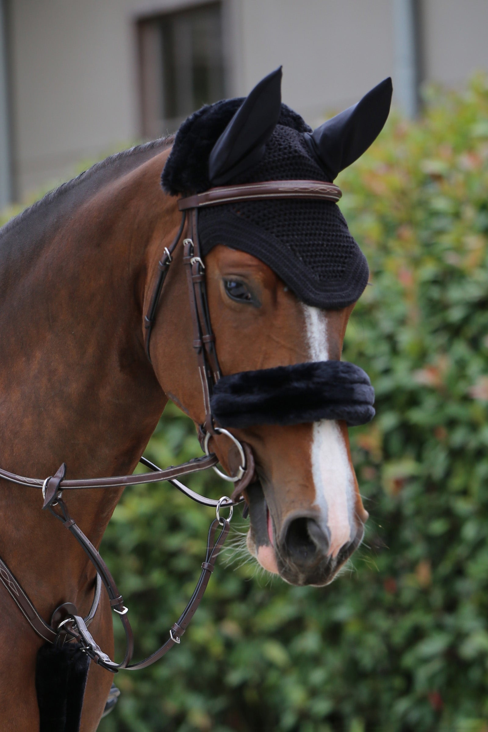 Kentucky Horsewear Osłona na nachrapnik z wełny owczej Sheepskin Ogłowia i wodze
