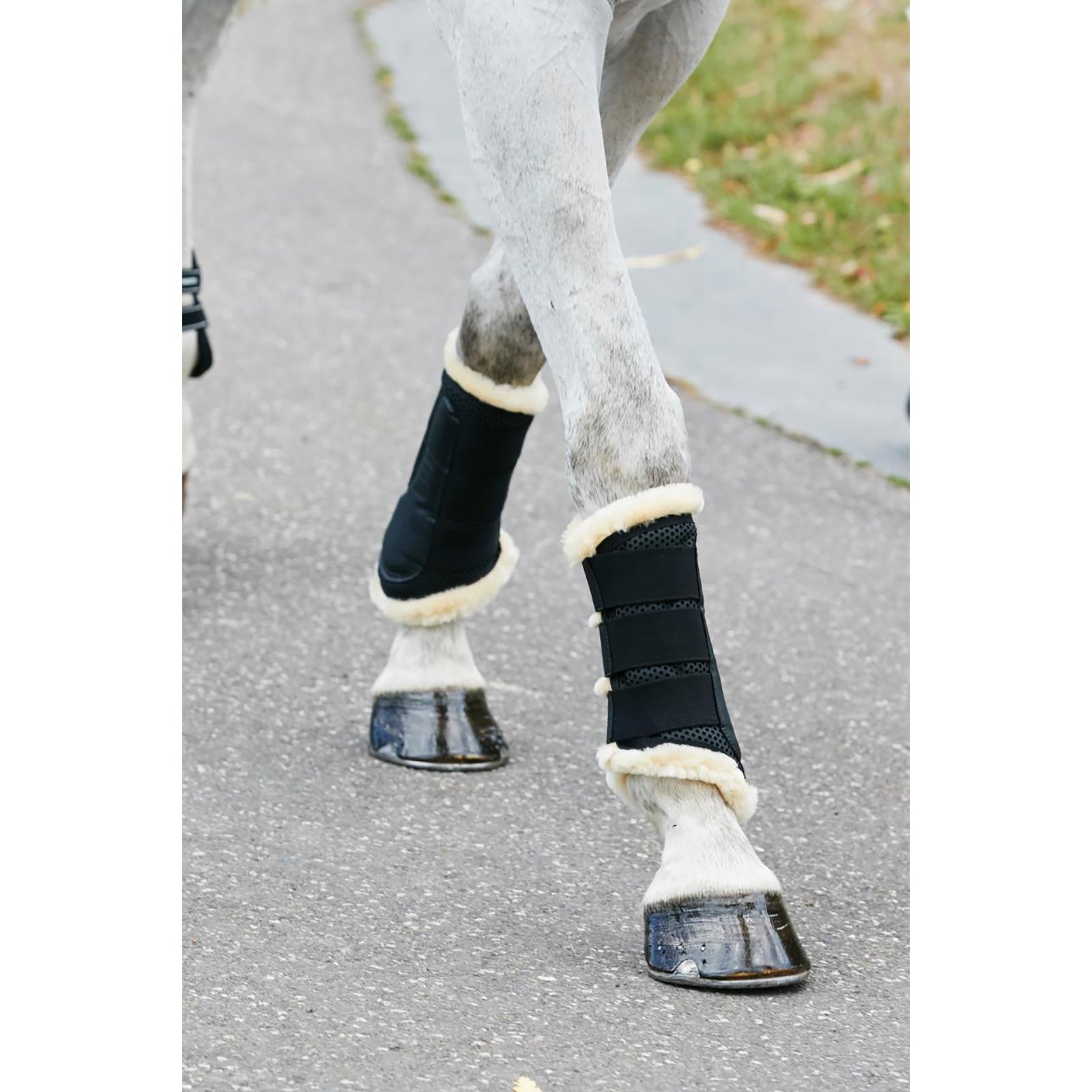 Weatherbeeta Pure Wool Lined Exercise Boots Leg Protection & Hoof Protection for Horses