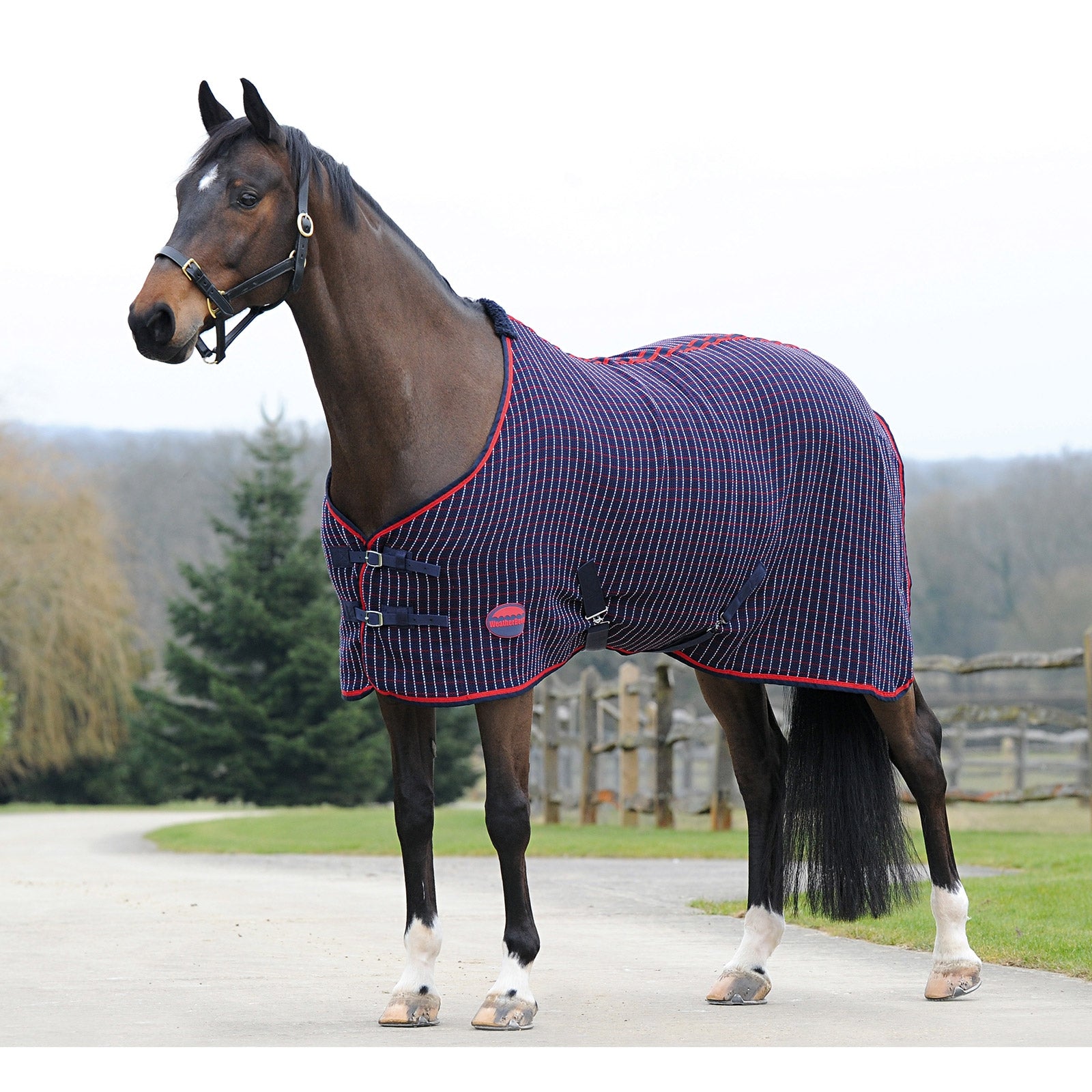 Weatherbeeta Waffle Cooler Standard Neck Horse Rugs